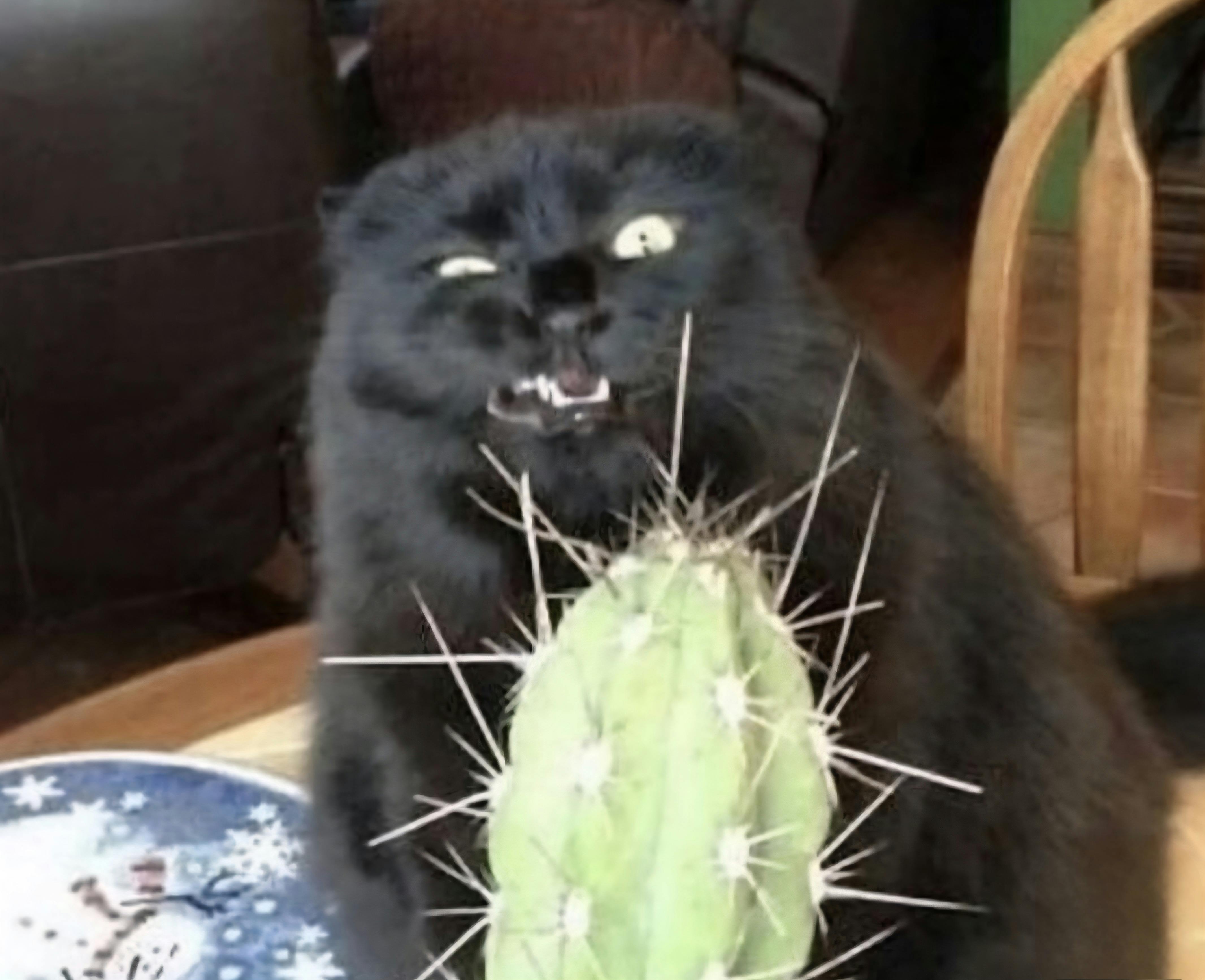 user avatar image for Jenn Van Tassel