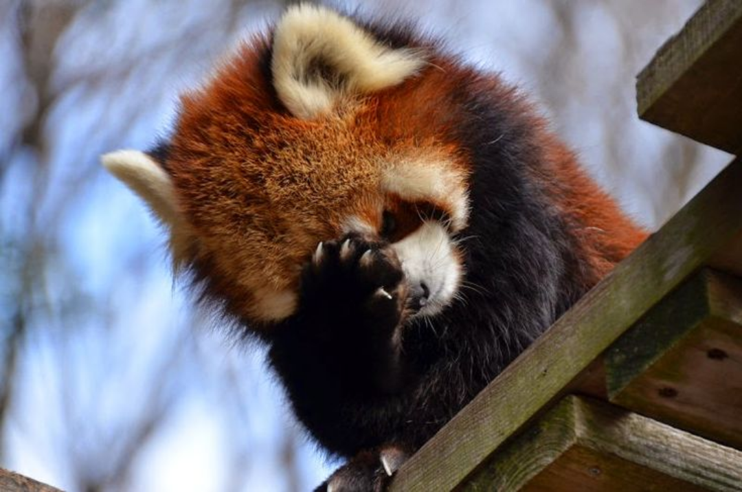user avatar image for Jonathan Finke