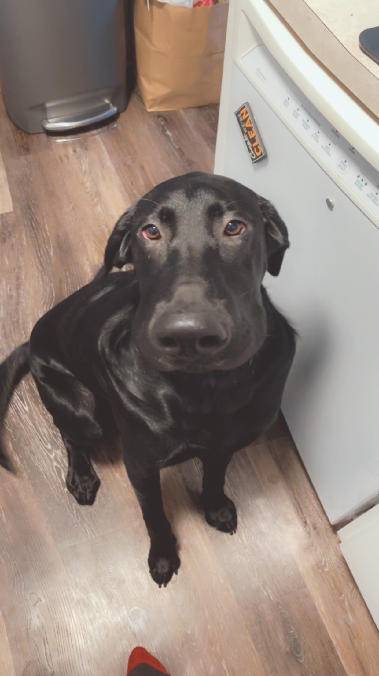 user avatar image for Daniel Thibodeau