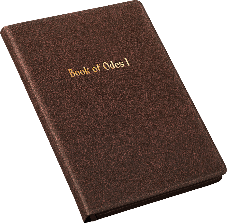 Book of Odes I physical book
