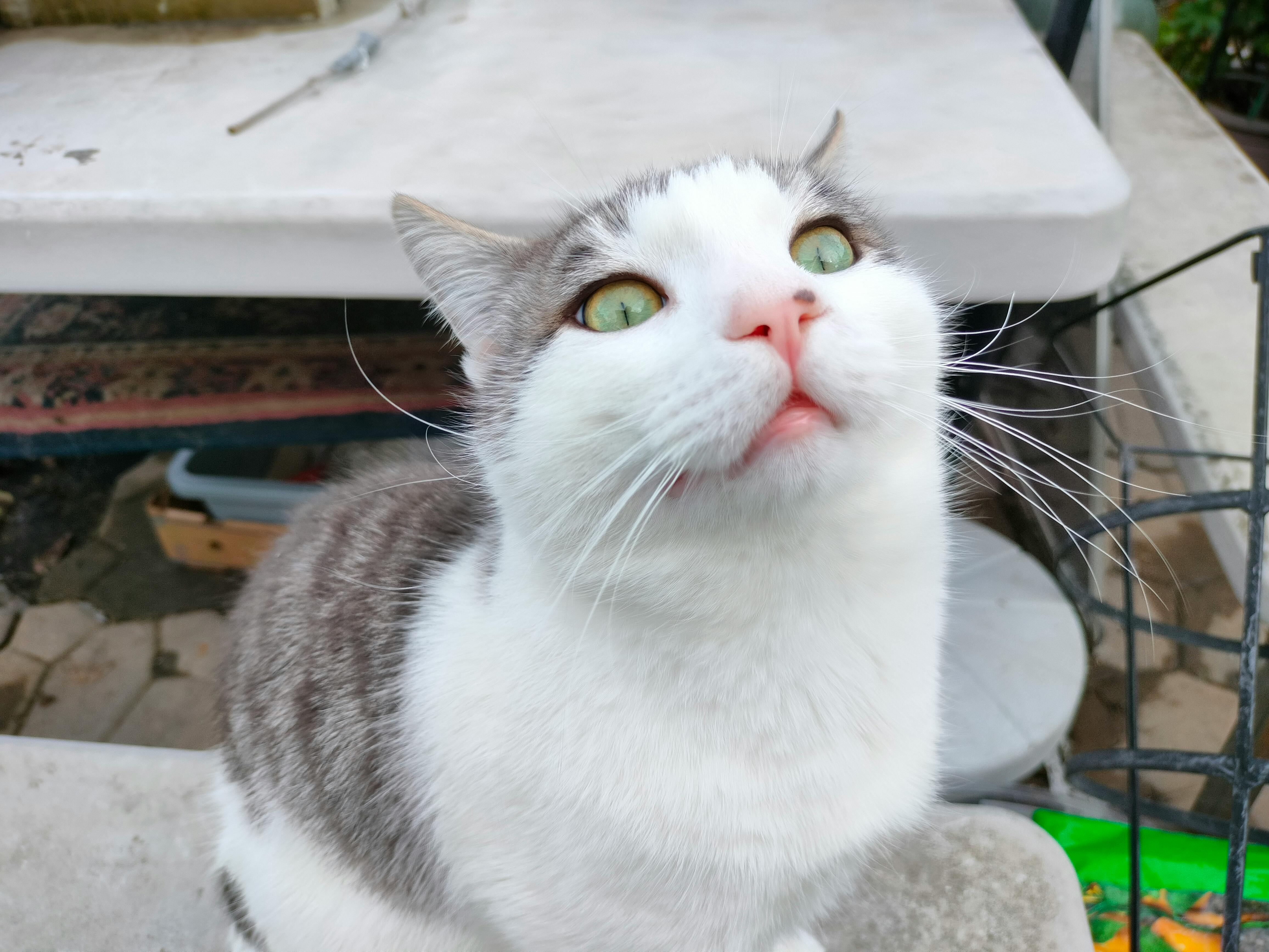 user avatar image for Dead Sovereign