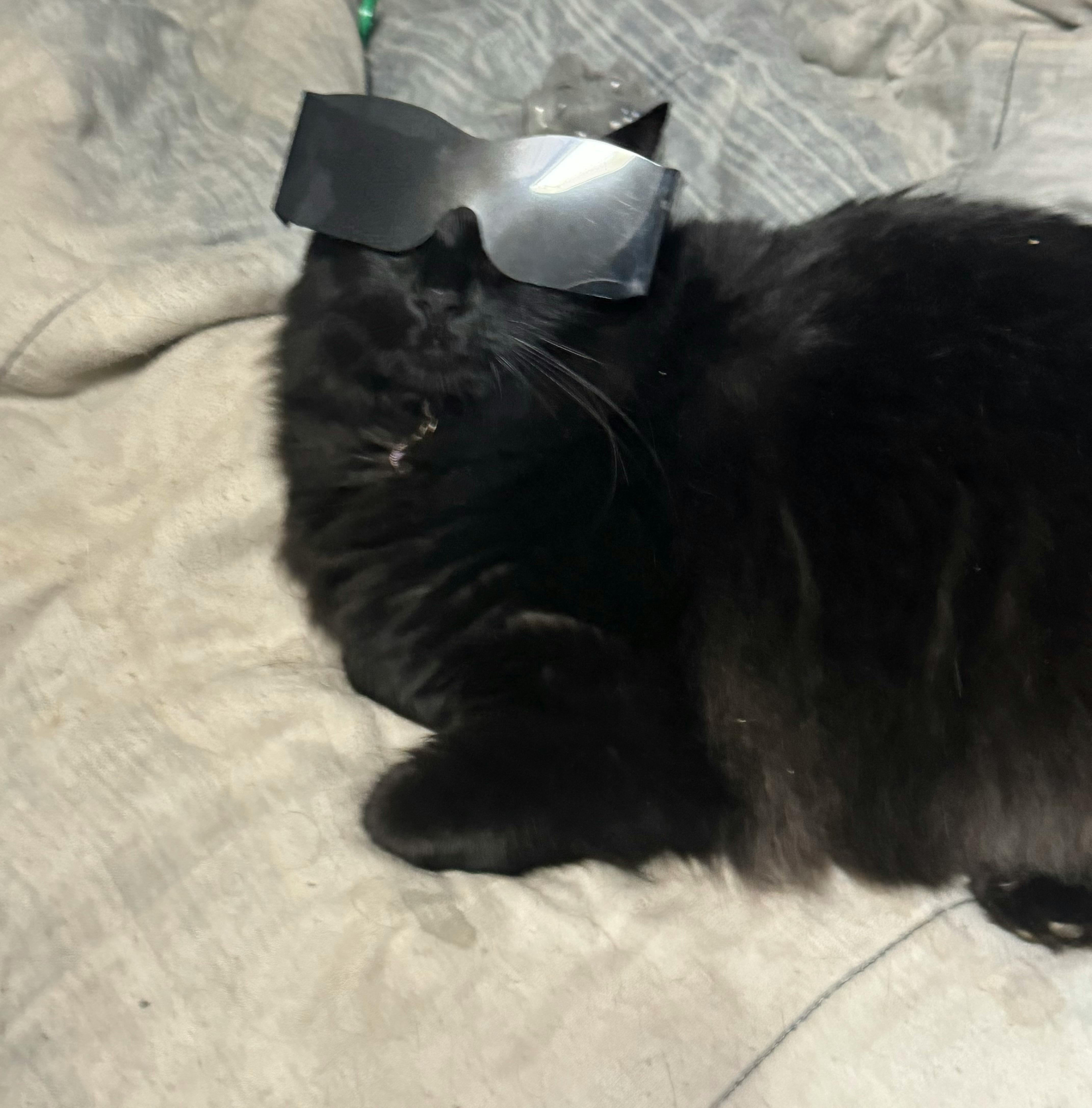 user avatar image for Jamie lucas