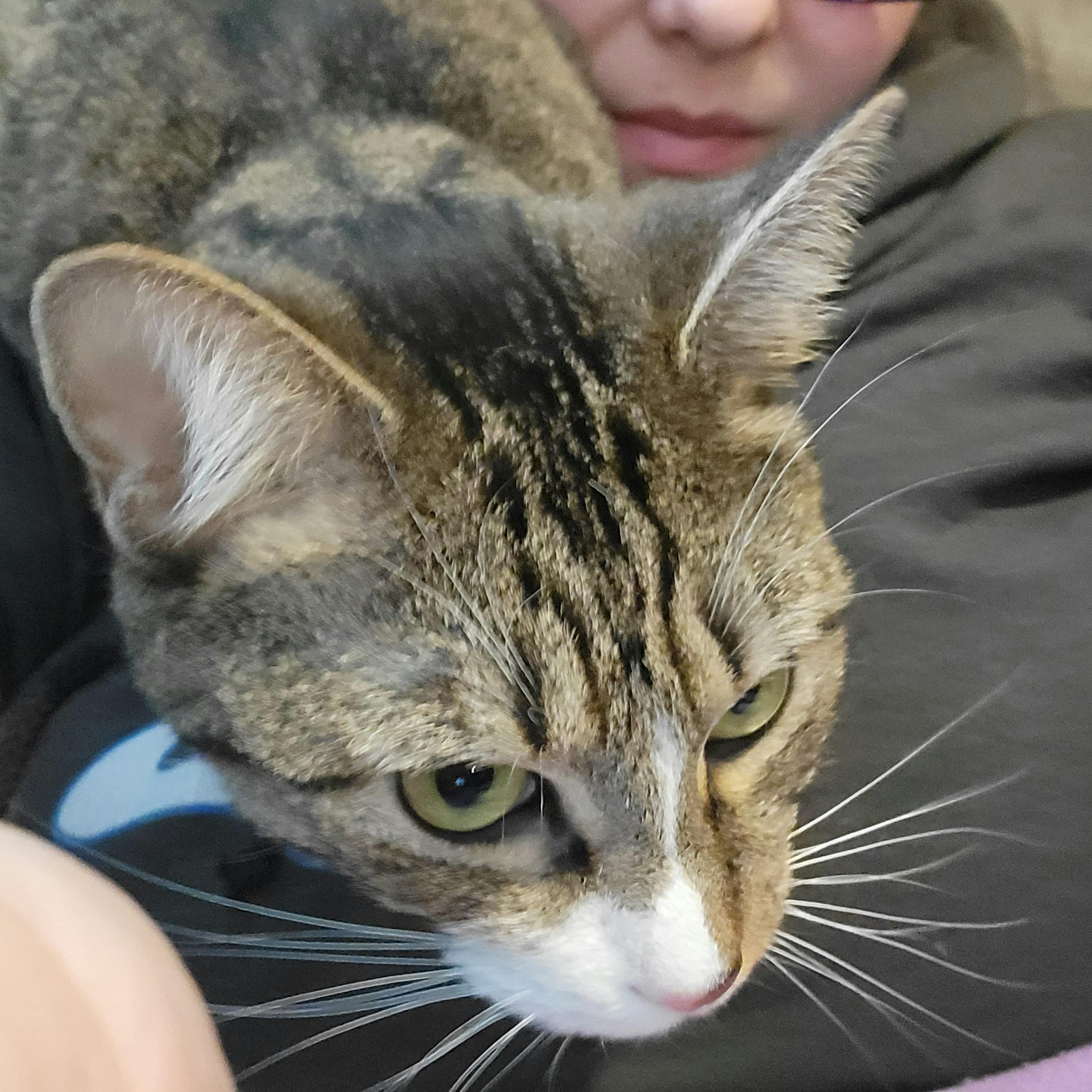 user avatar image for Megan L