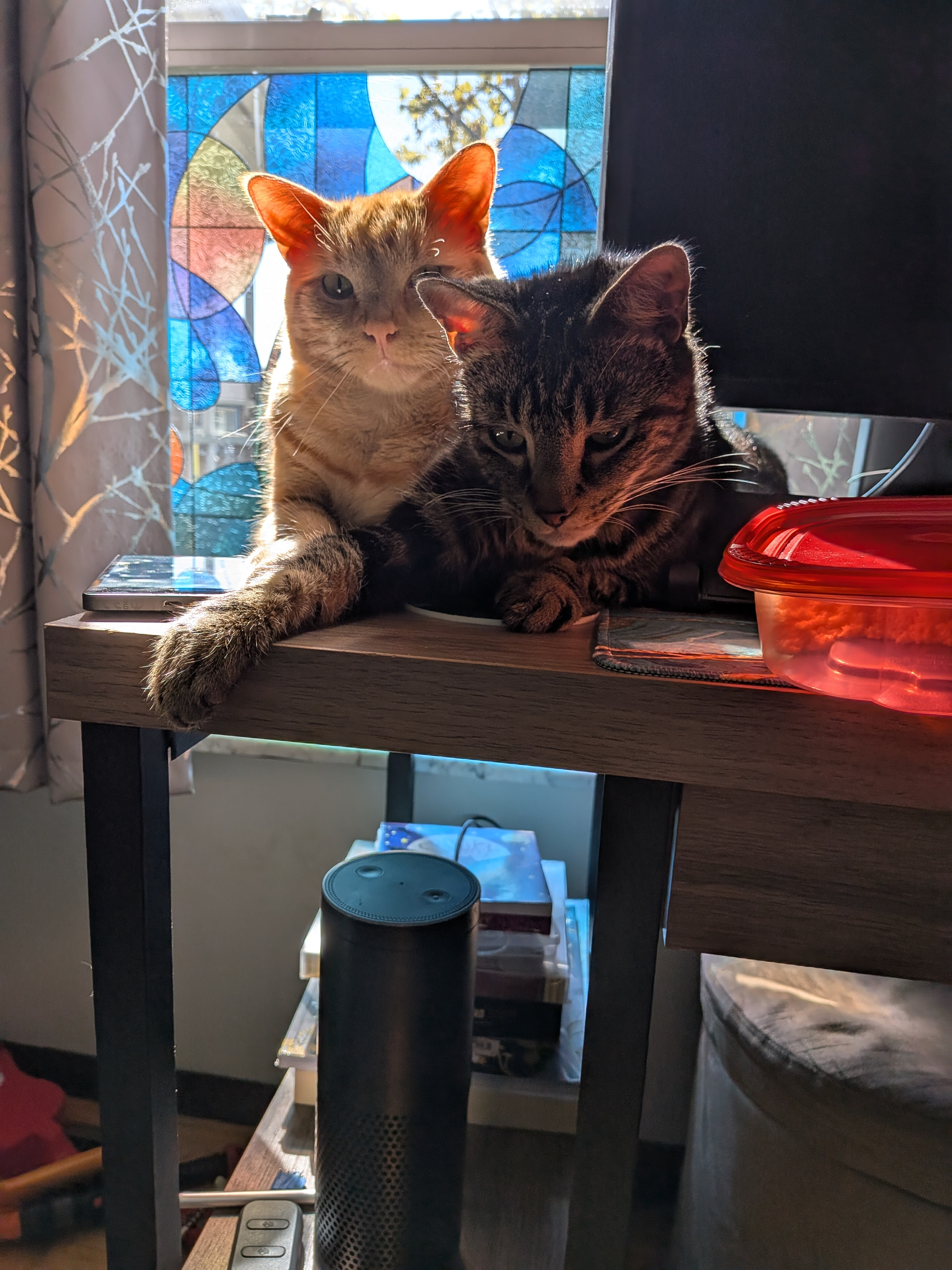 user avatar image for Lora