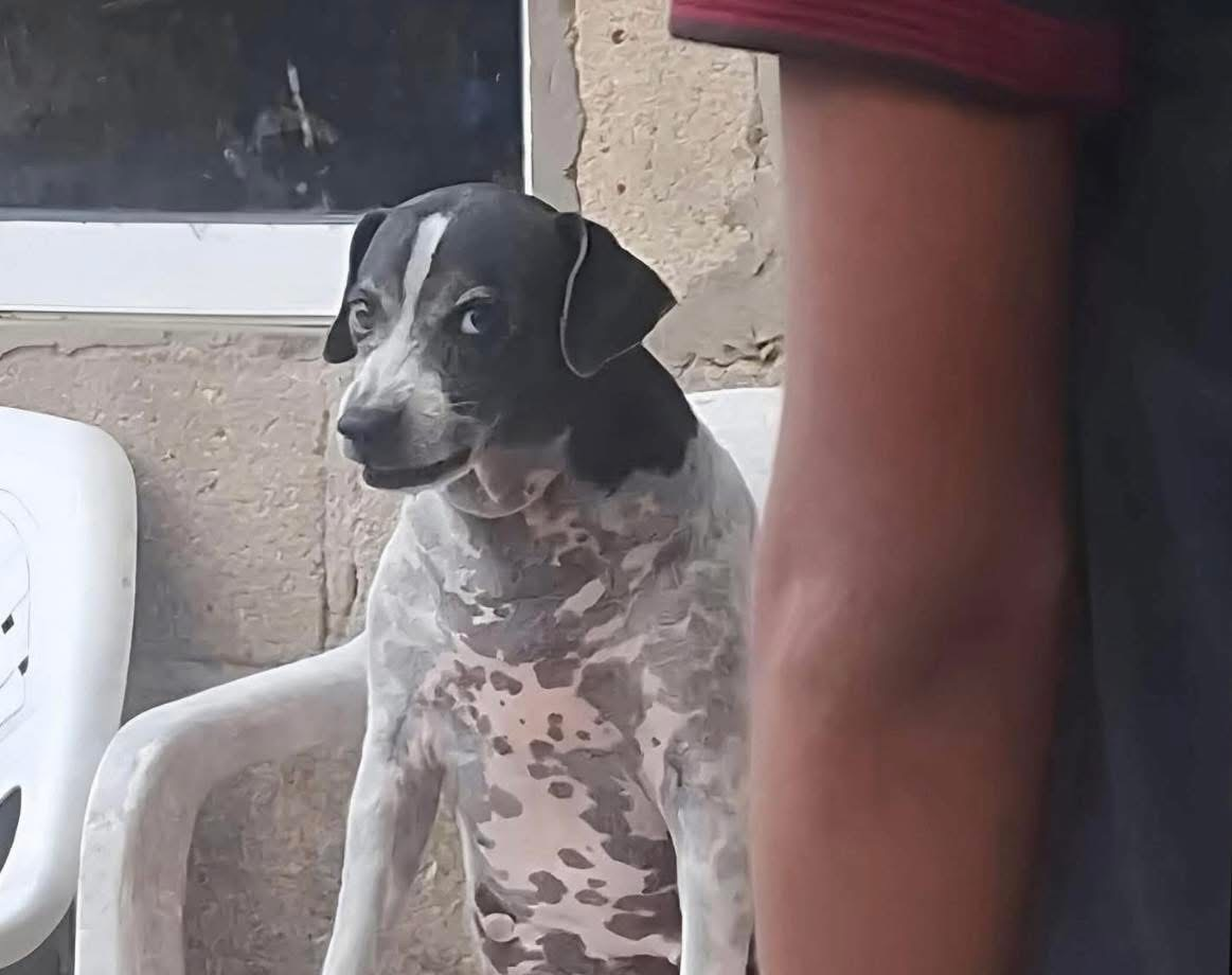 user avatar image for John Contreras