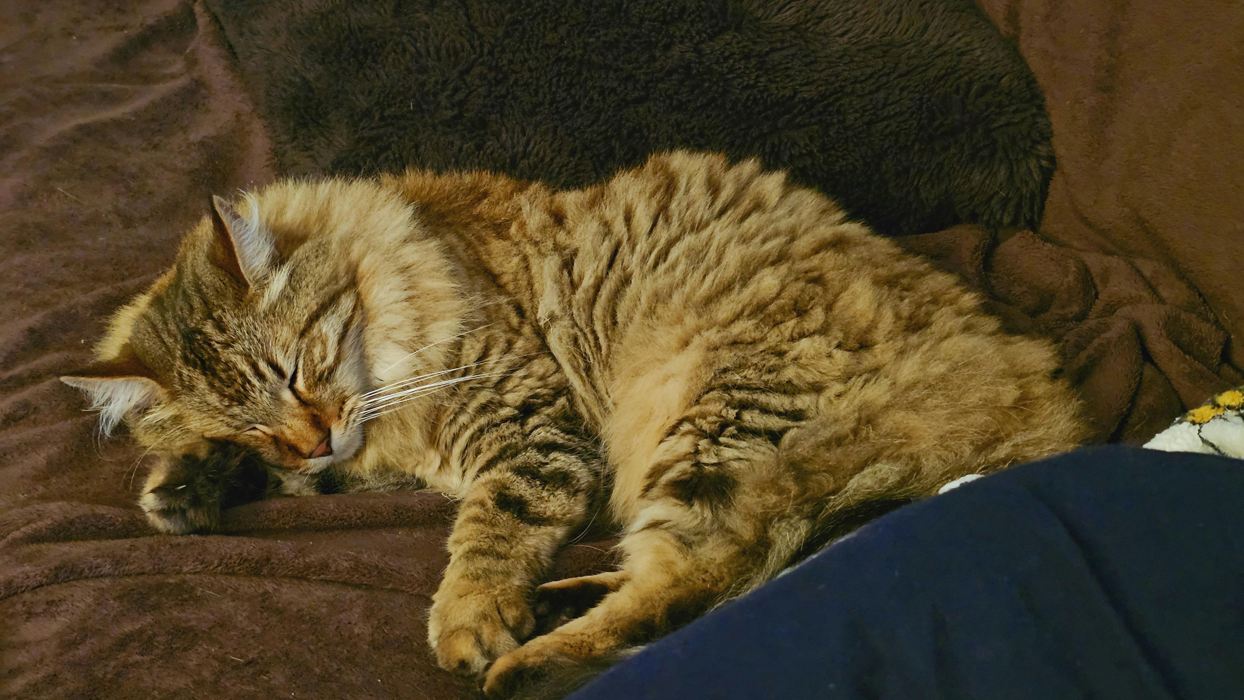 user avatar image for obsol33t