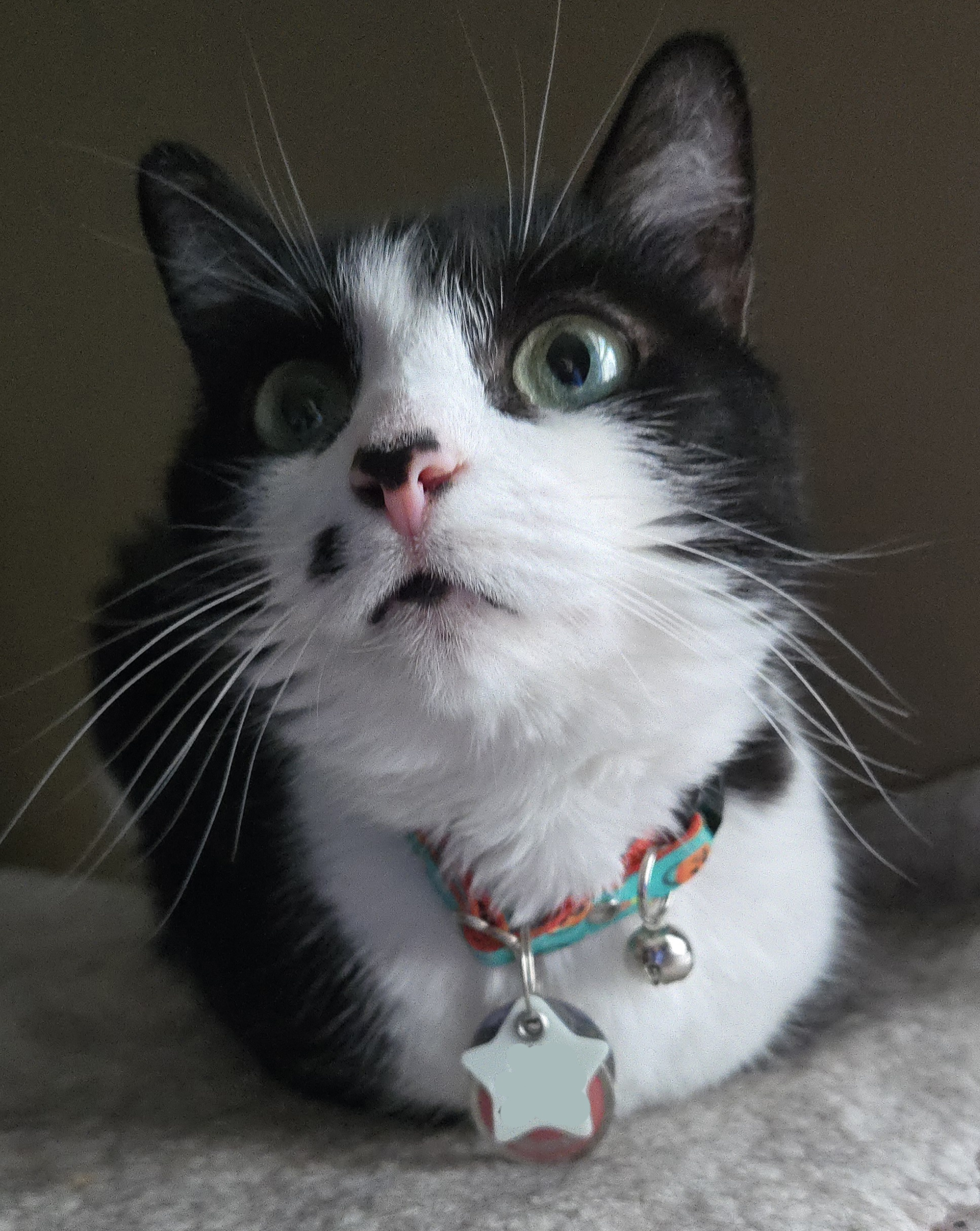 user avatar image for Tiffany Teders