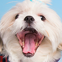 user avatar image for Horatio Rosa