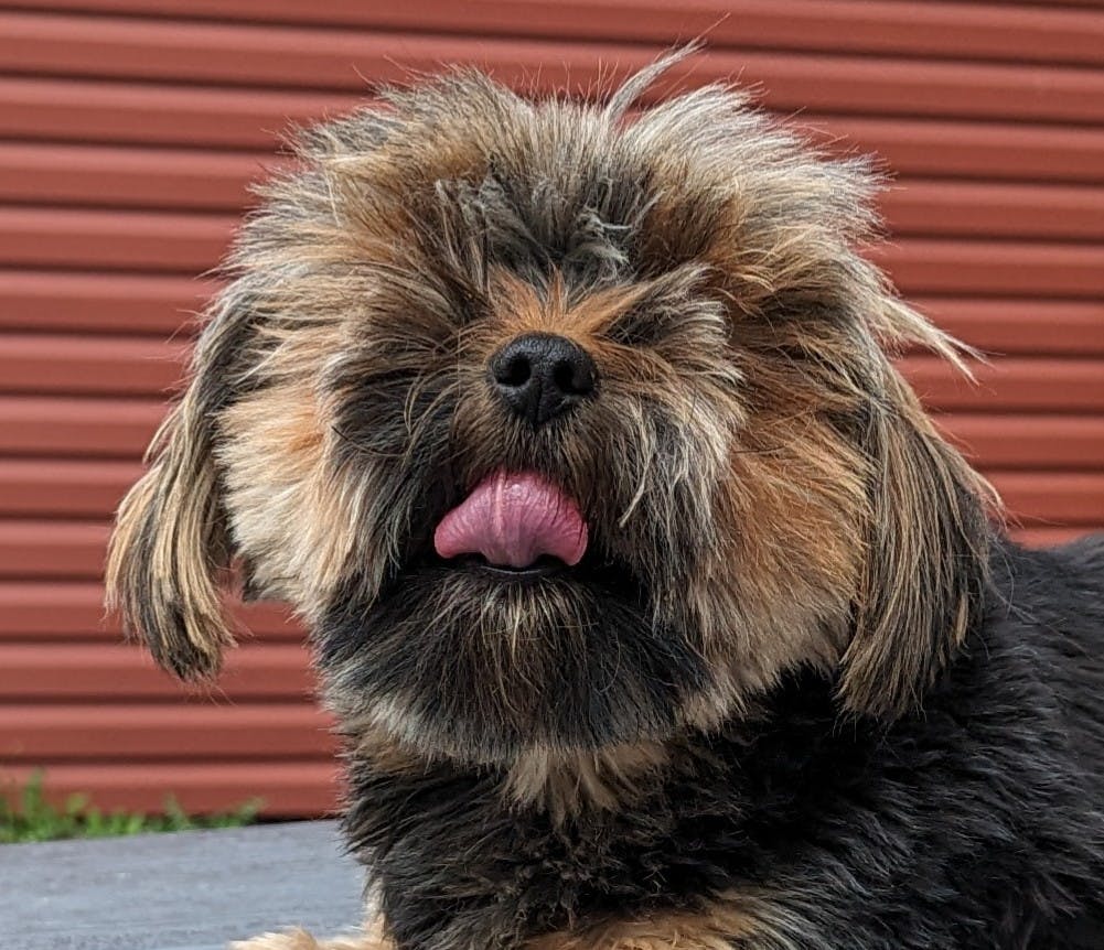 user avatar image for Marie-Helene Ayotte