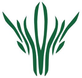 user avatar image for Matteo