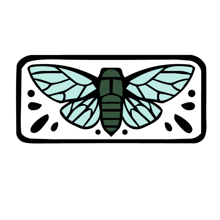 cicada
