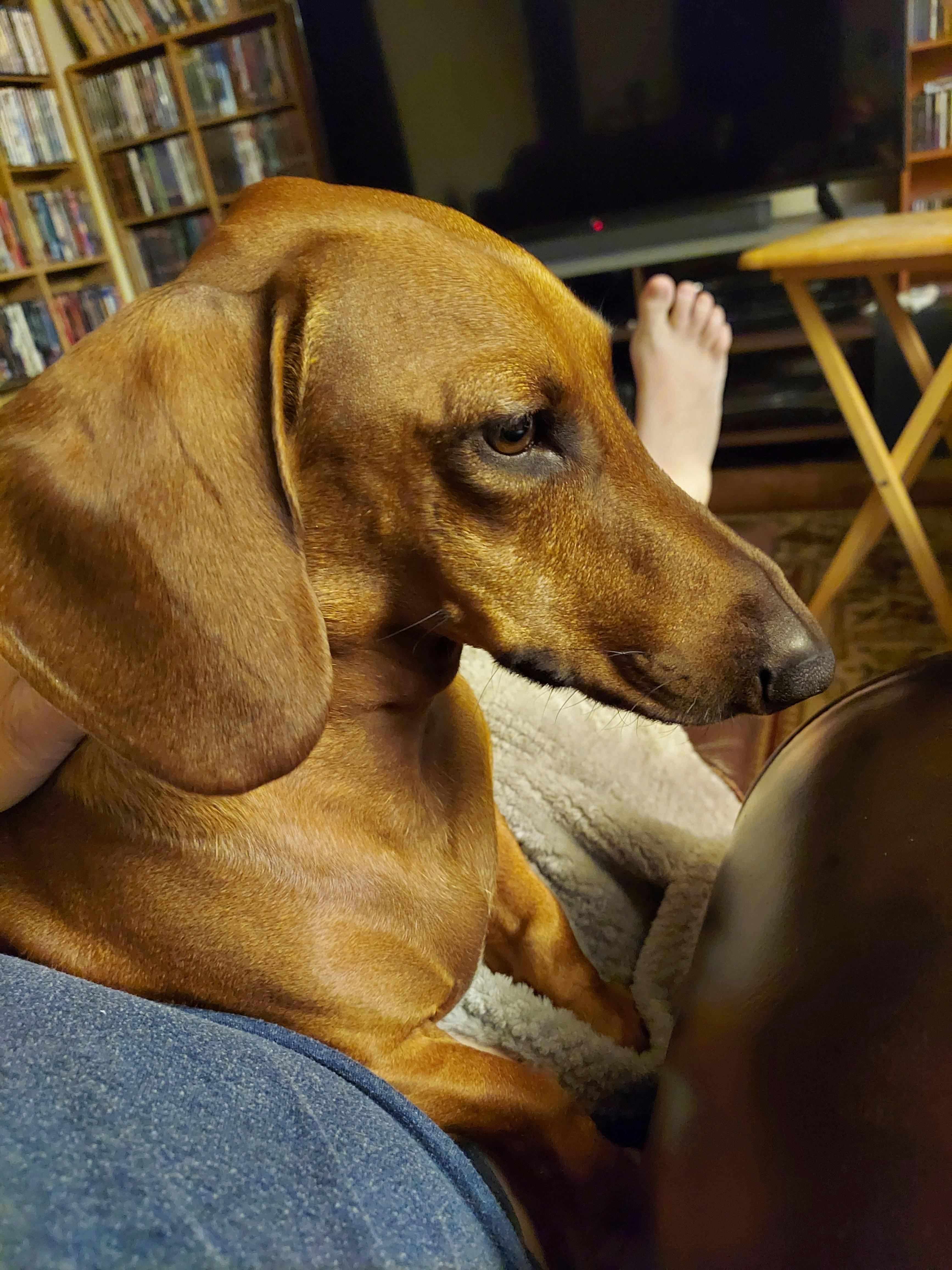 user avatar image for Peter Phipps