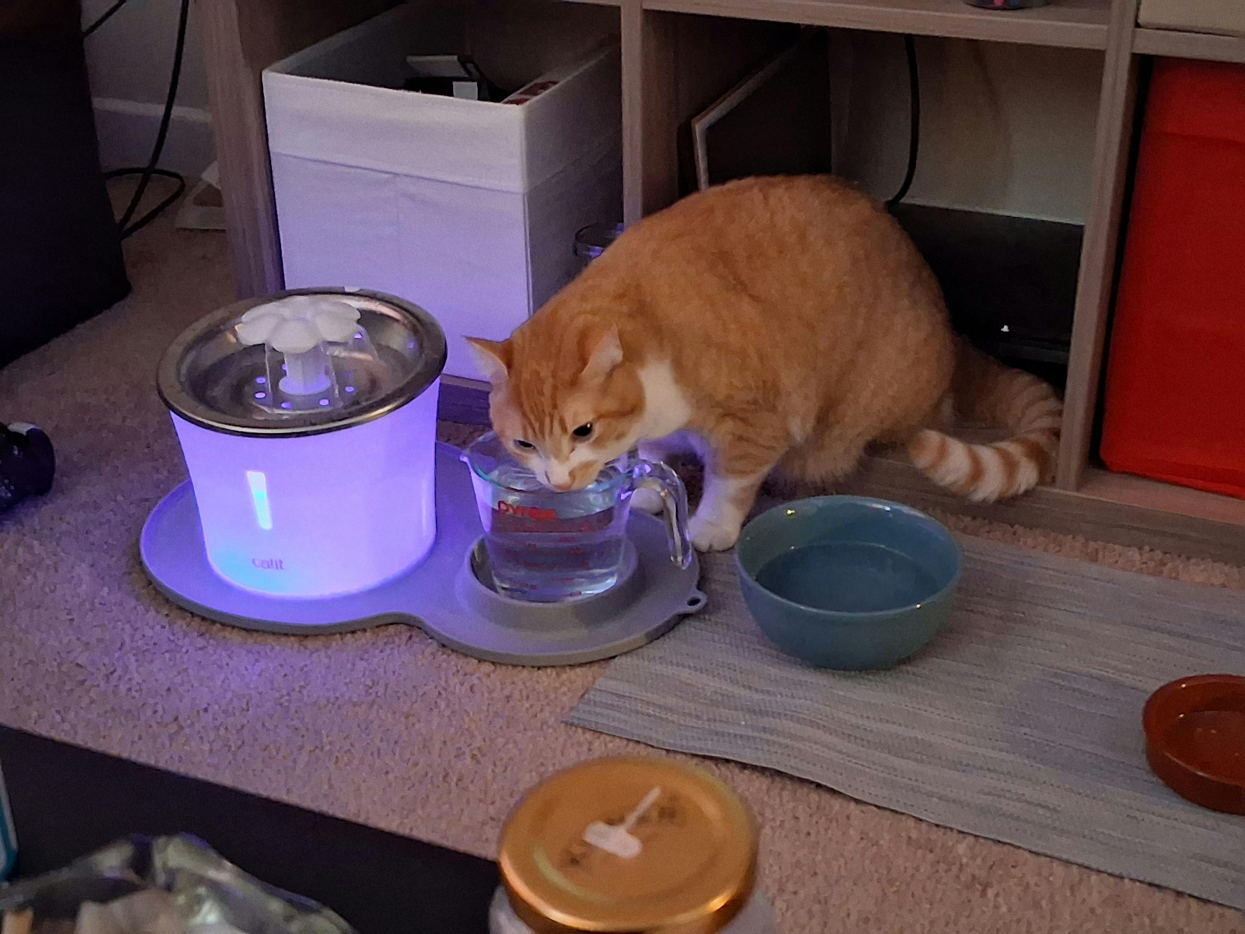 user avatar image for MeatyLiz