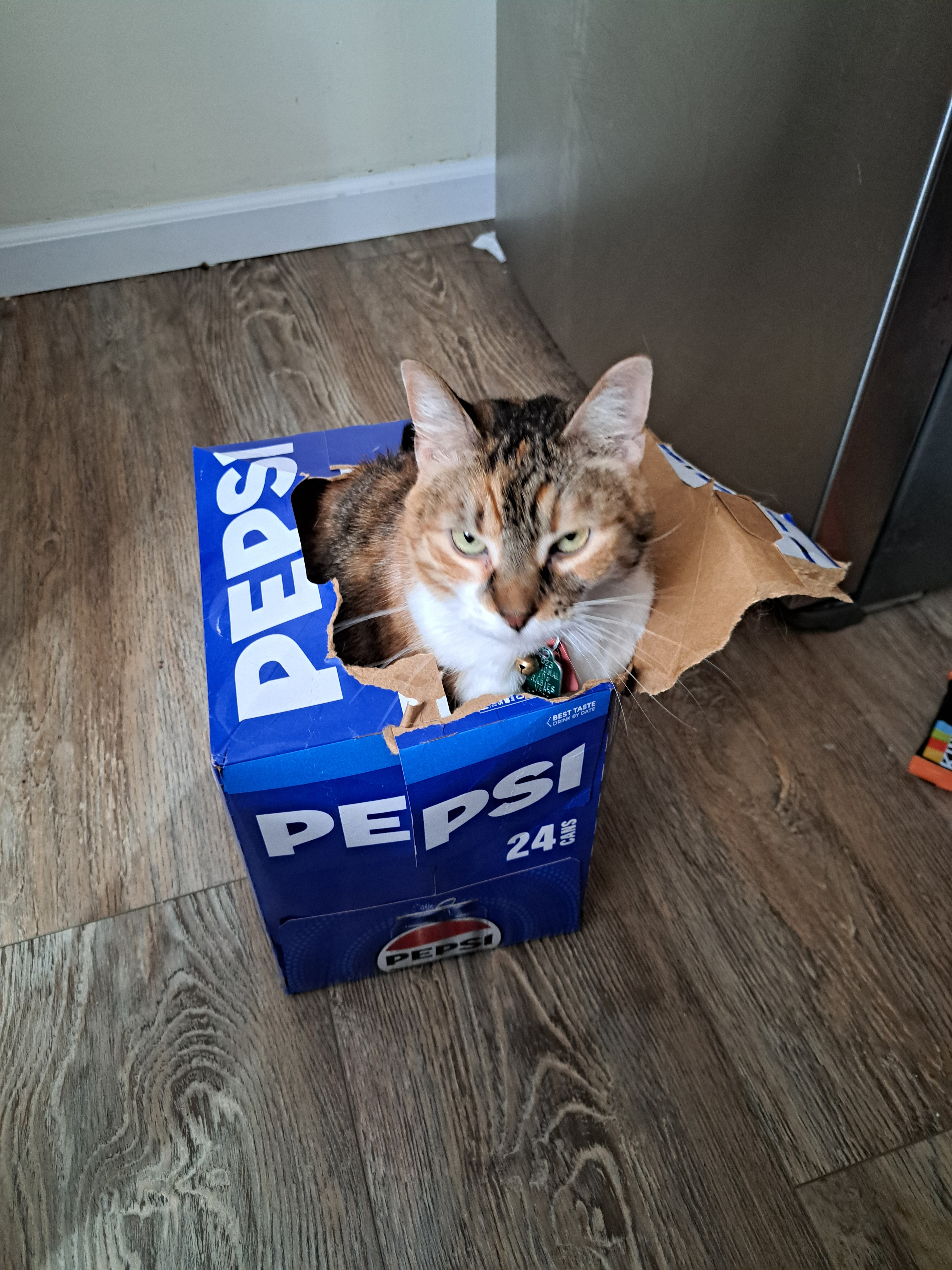 user avatar image for TessaDivine1 