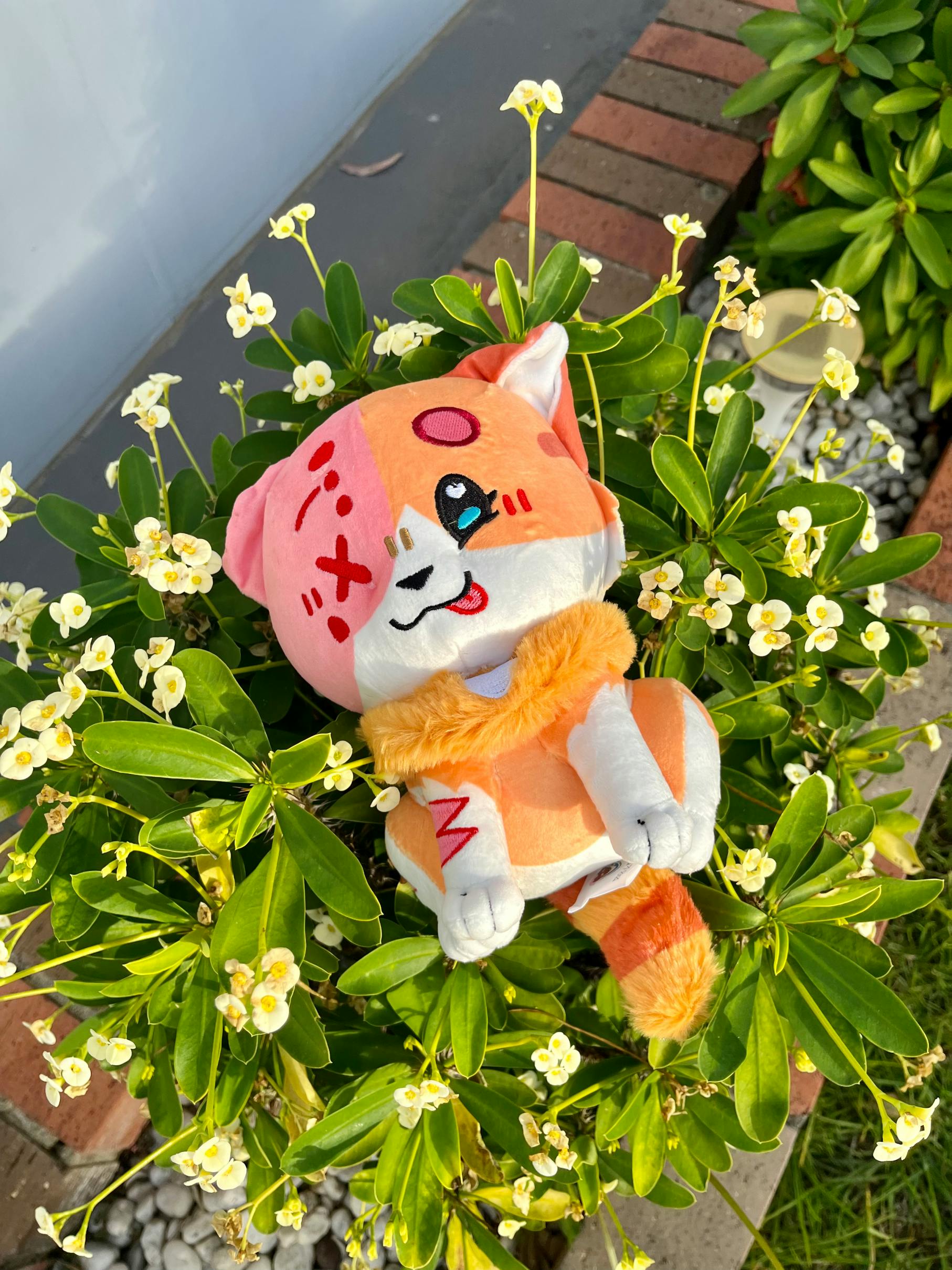 user avatar image for Dirtynoodles Doodles