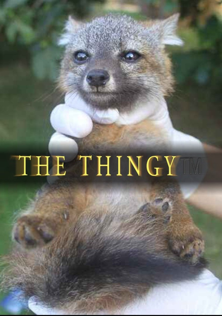 user avatar image for Voidseer