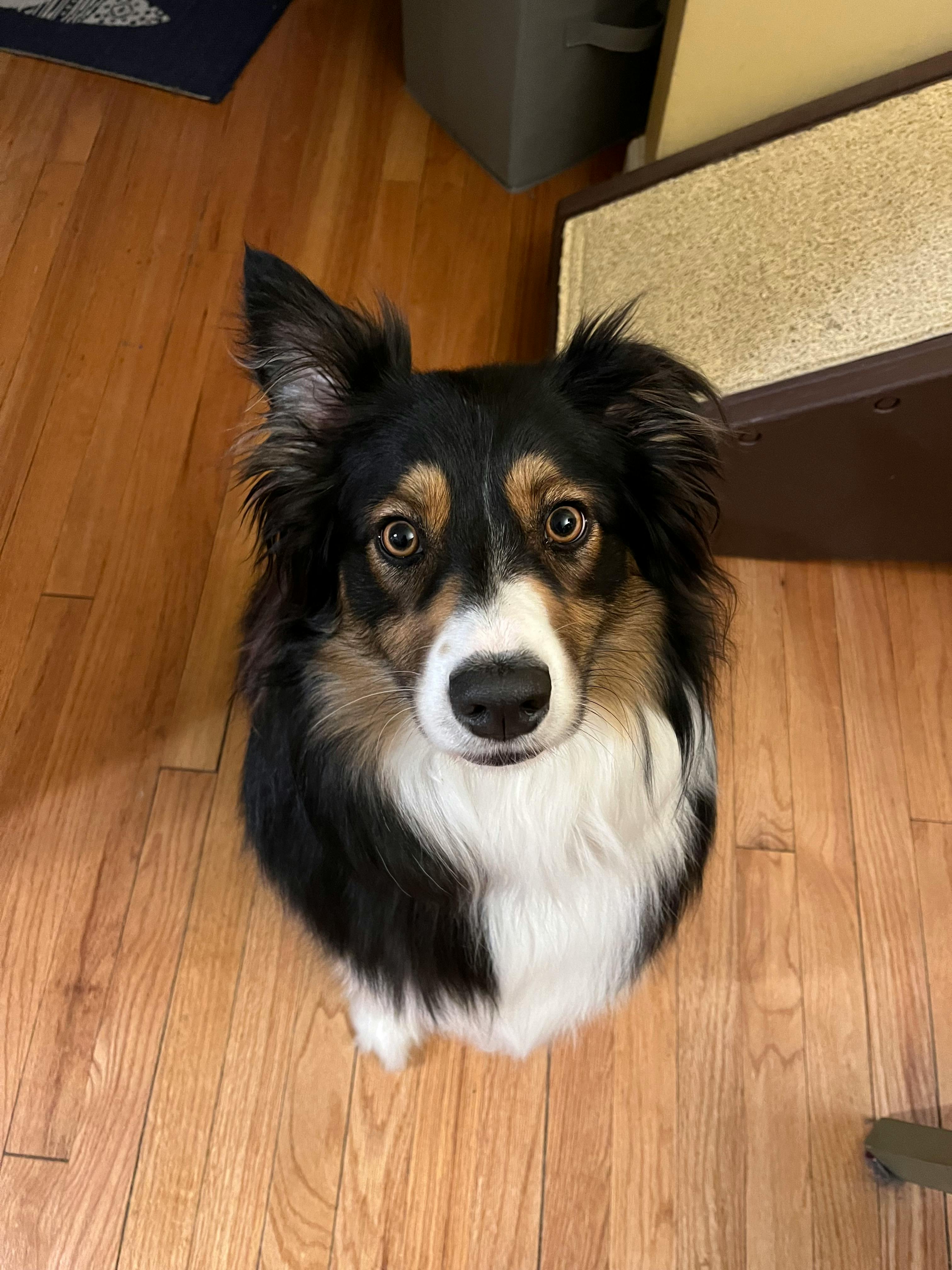 user avatar image for ErinS