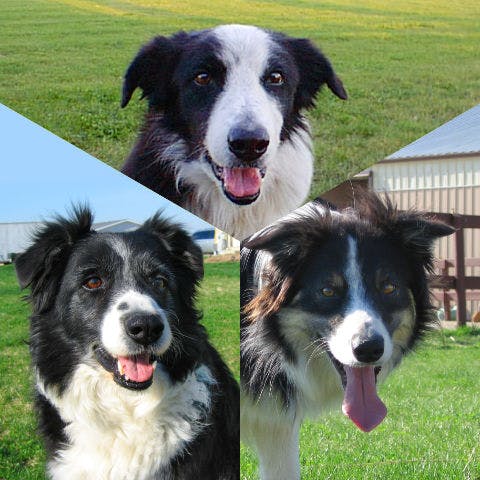 user avatar image for Jamie Neander