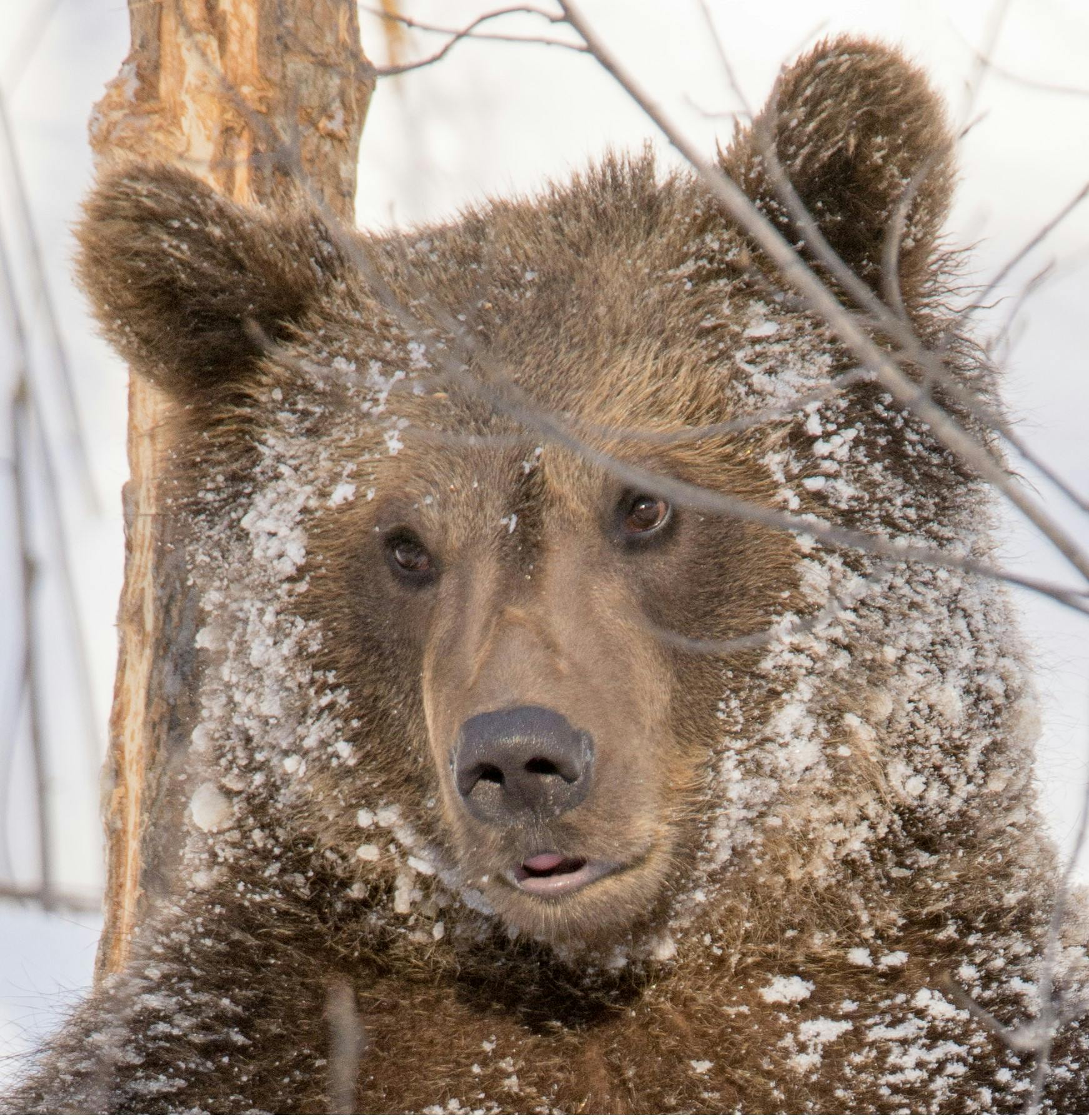 user avatar image for trautwyn