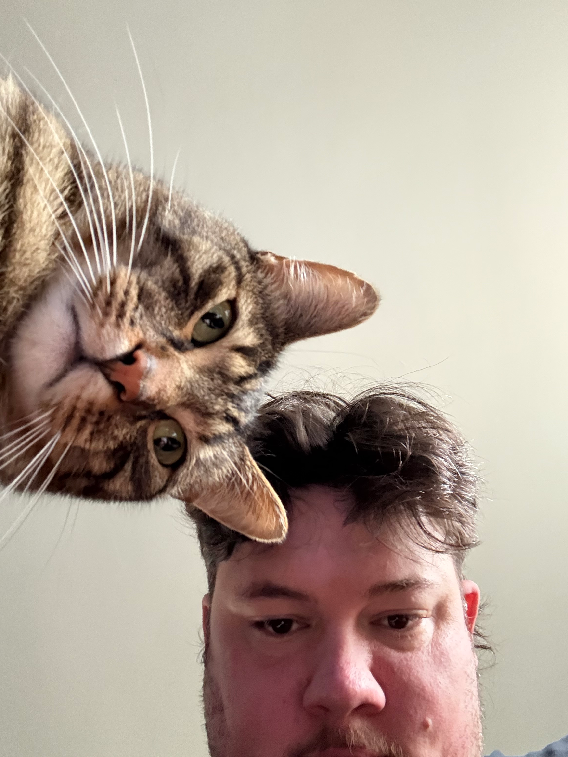 user avatar image for John Fitzsimmons