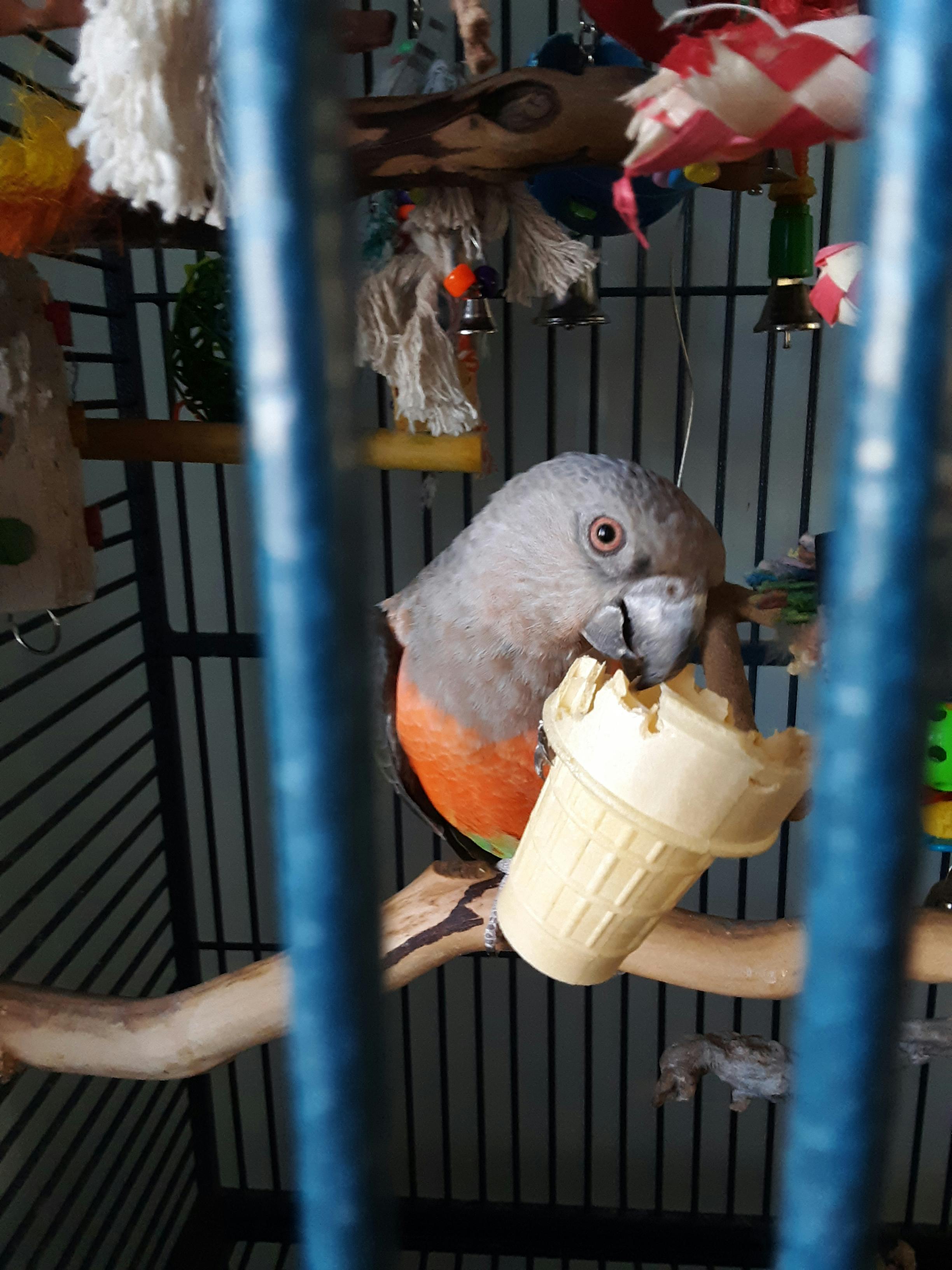 user avatar image for Charlie Colburn