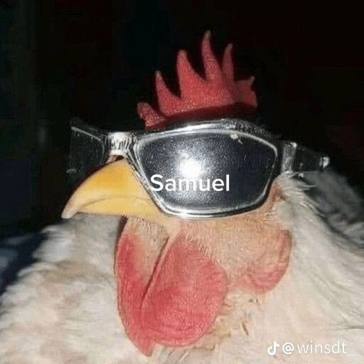 user avatar image for Samuel Karpowski