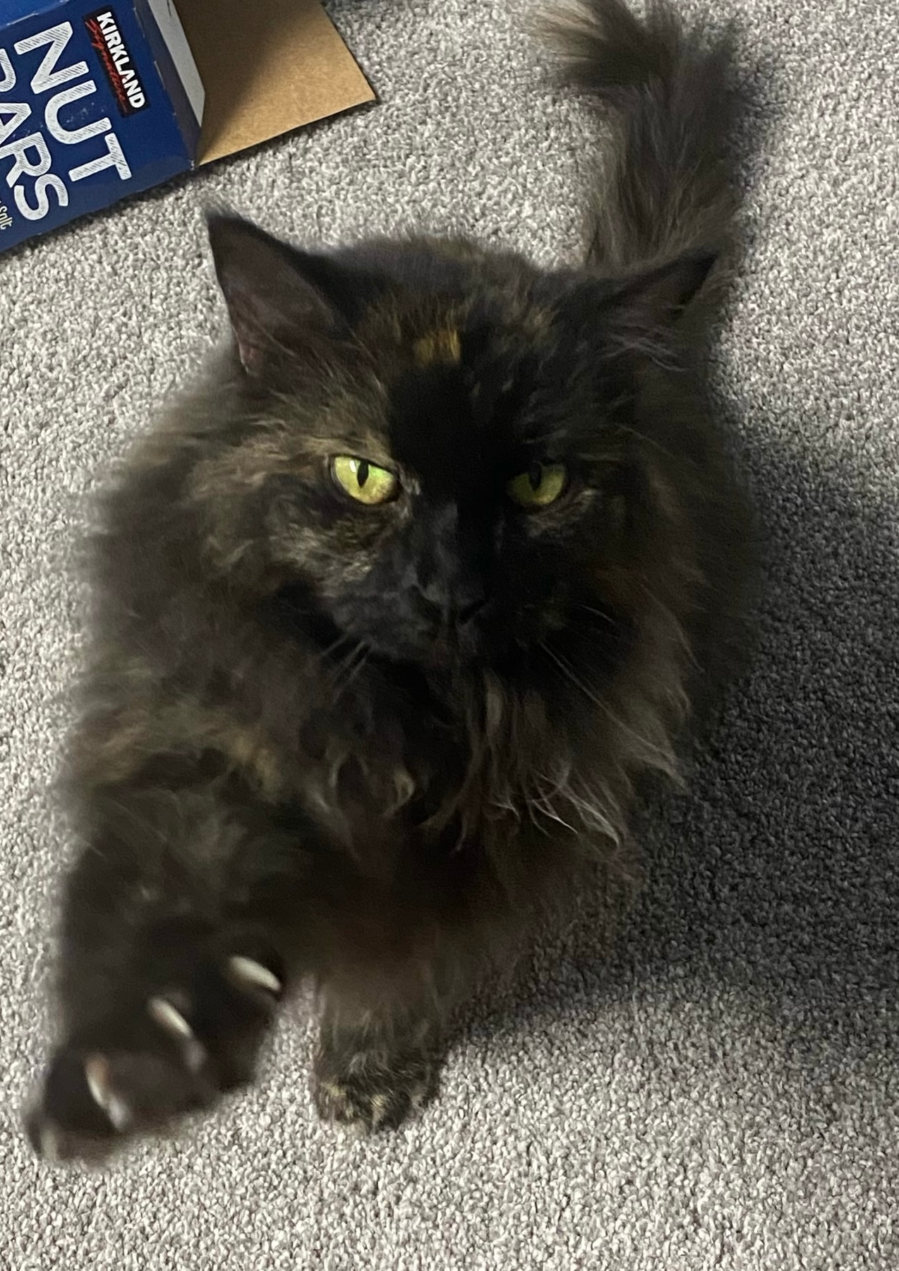 user avatar image for Vic50