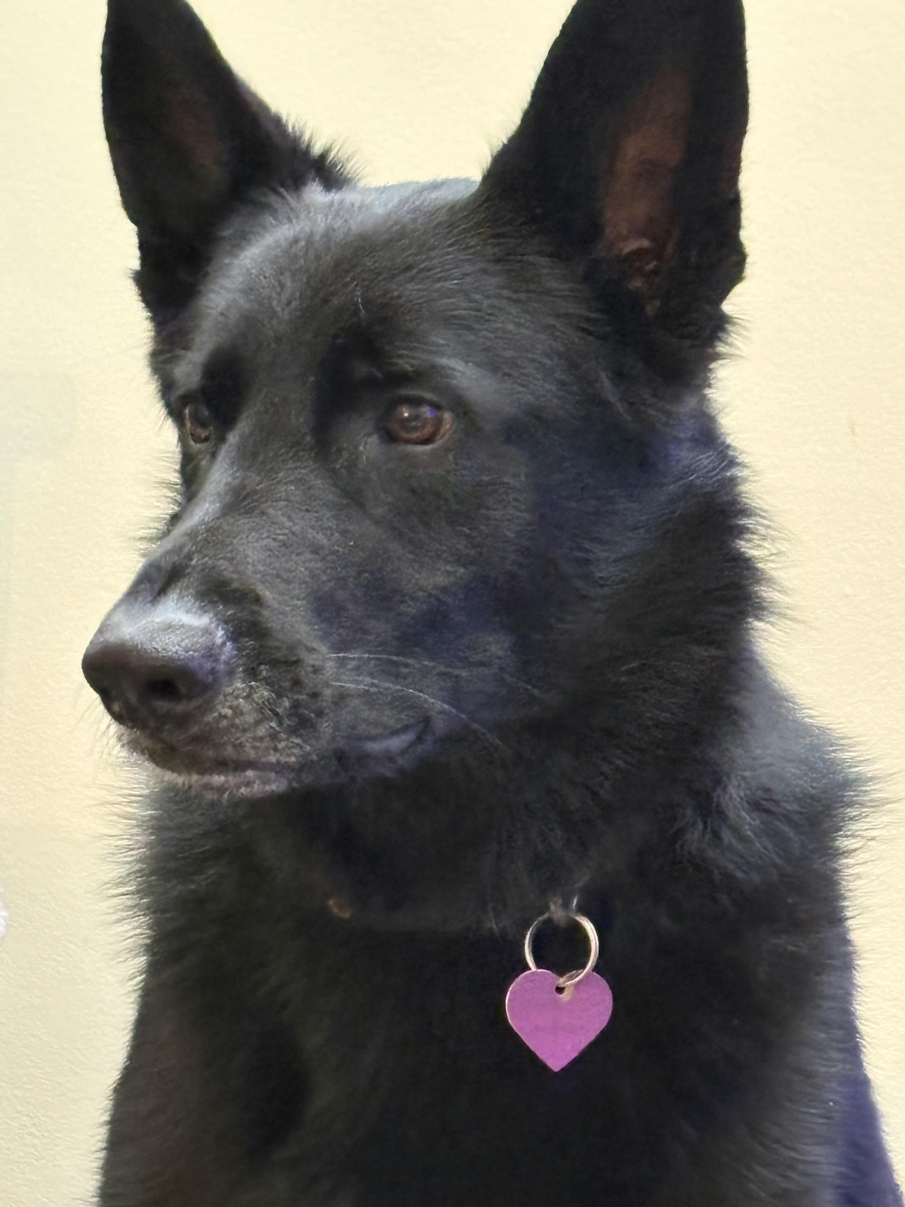 user avatar image for Panther Berg