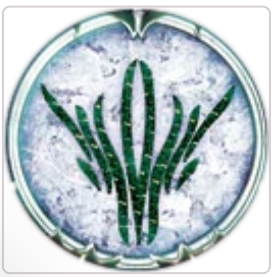 user avatar image for Tonygrabowski4