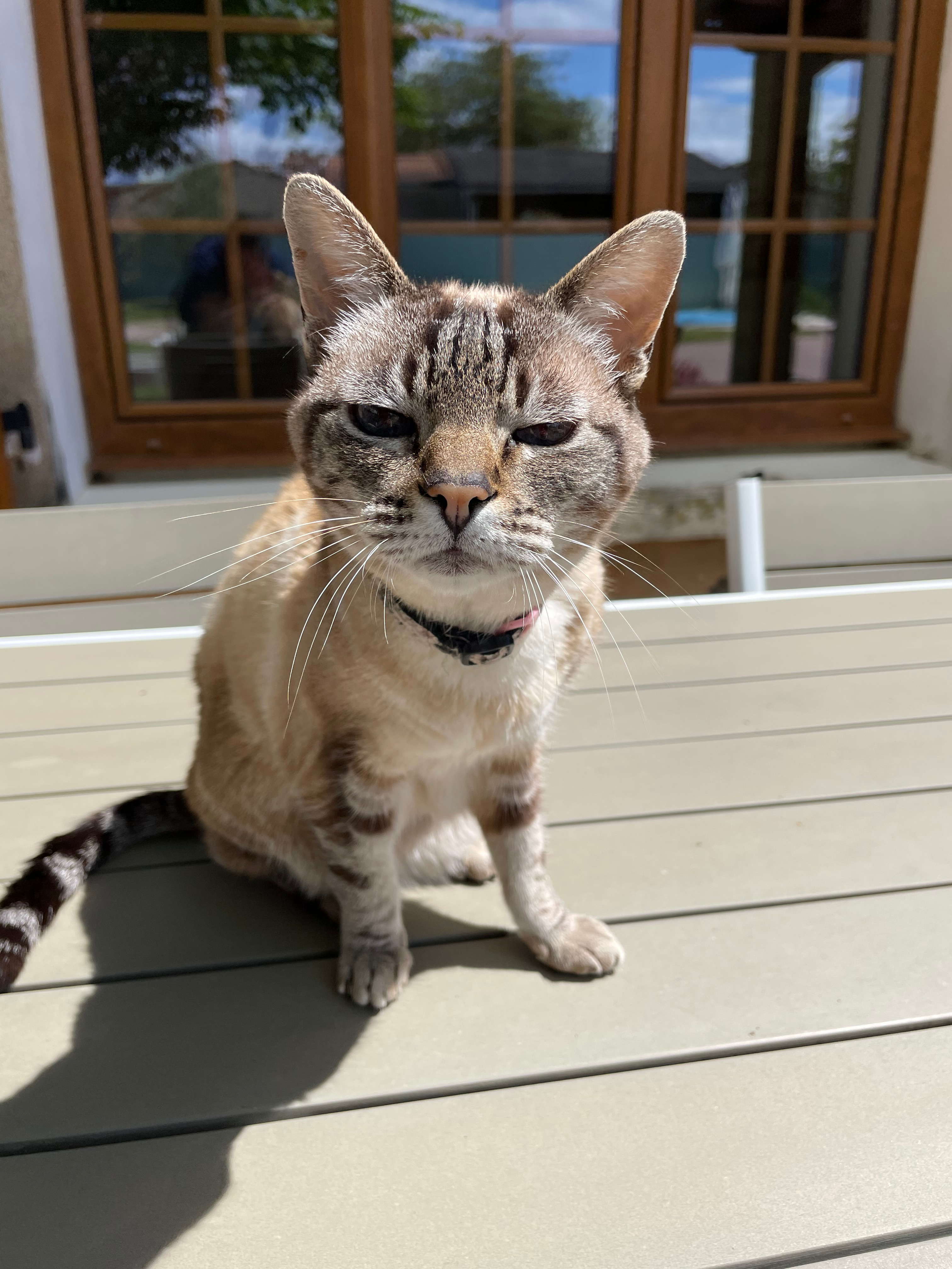 user avatar image for Bountice