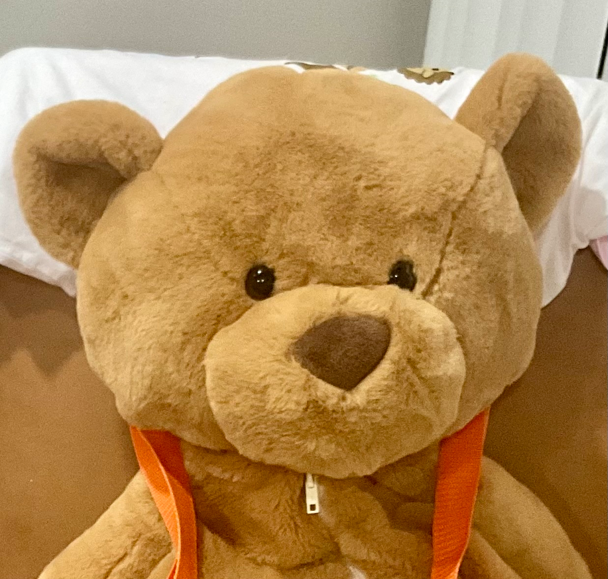 user avatar image for Shelly B