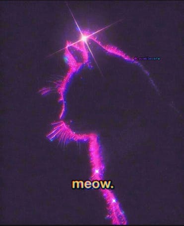 user avatar image for Rachel 