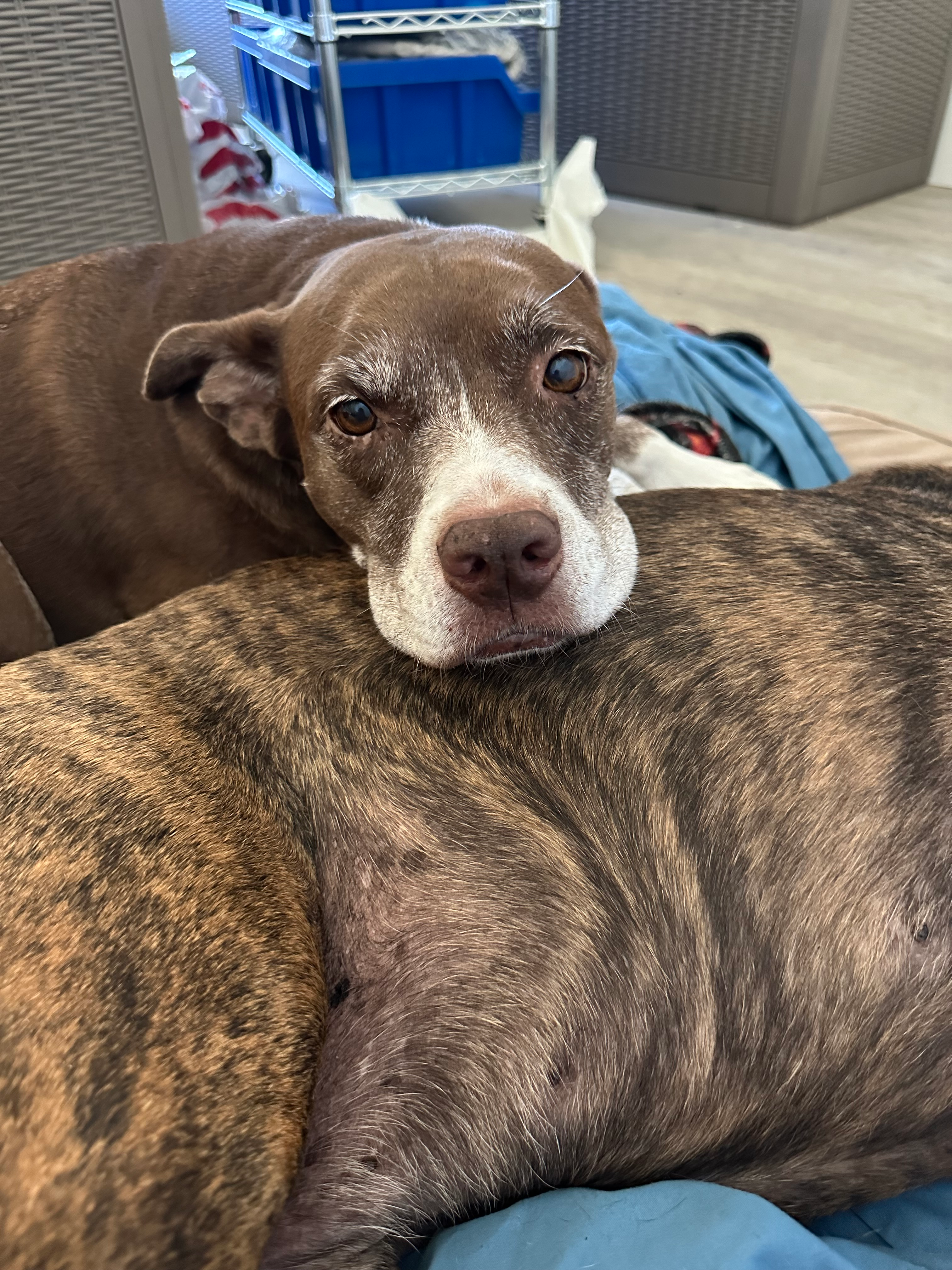 user avatar image for Craig