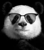 user avatar image for Doligas