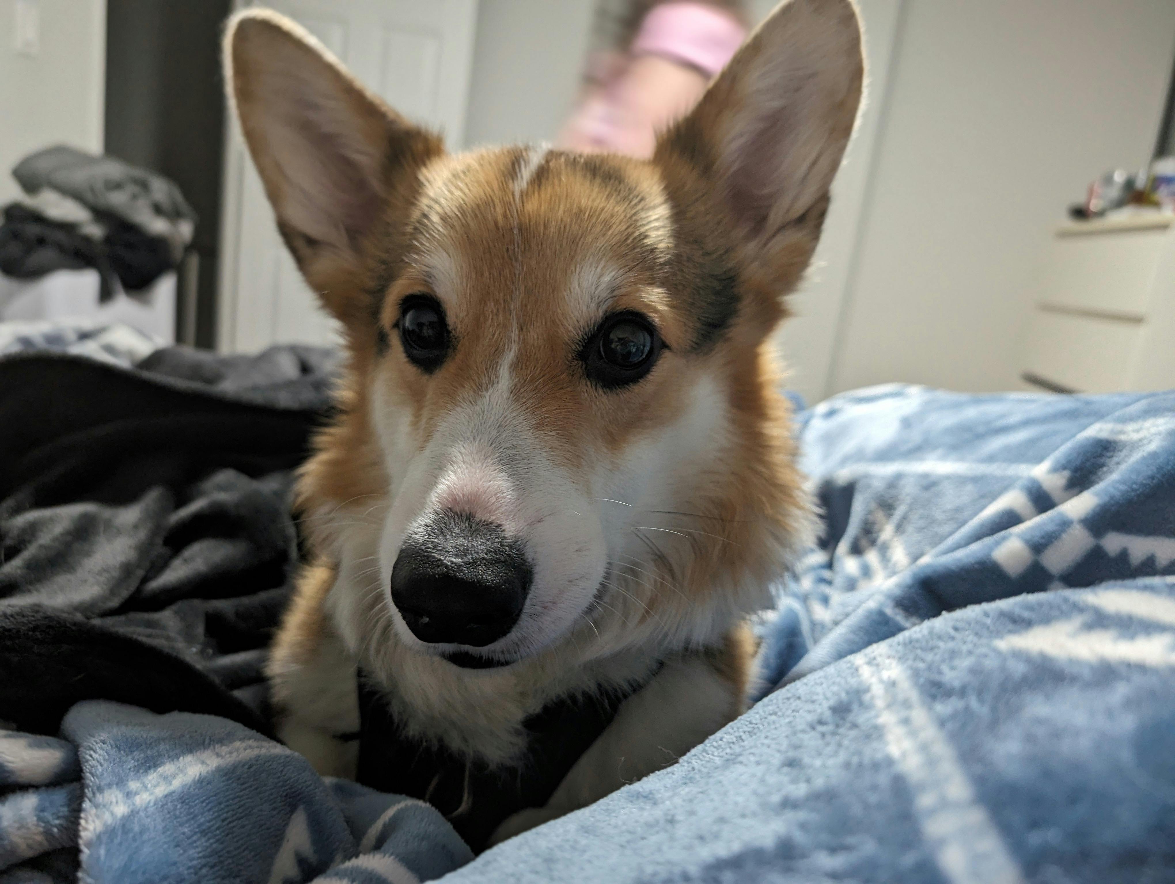 user avatar image for Victor Manuel Hernandez Diaz 