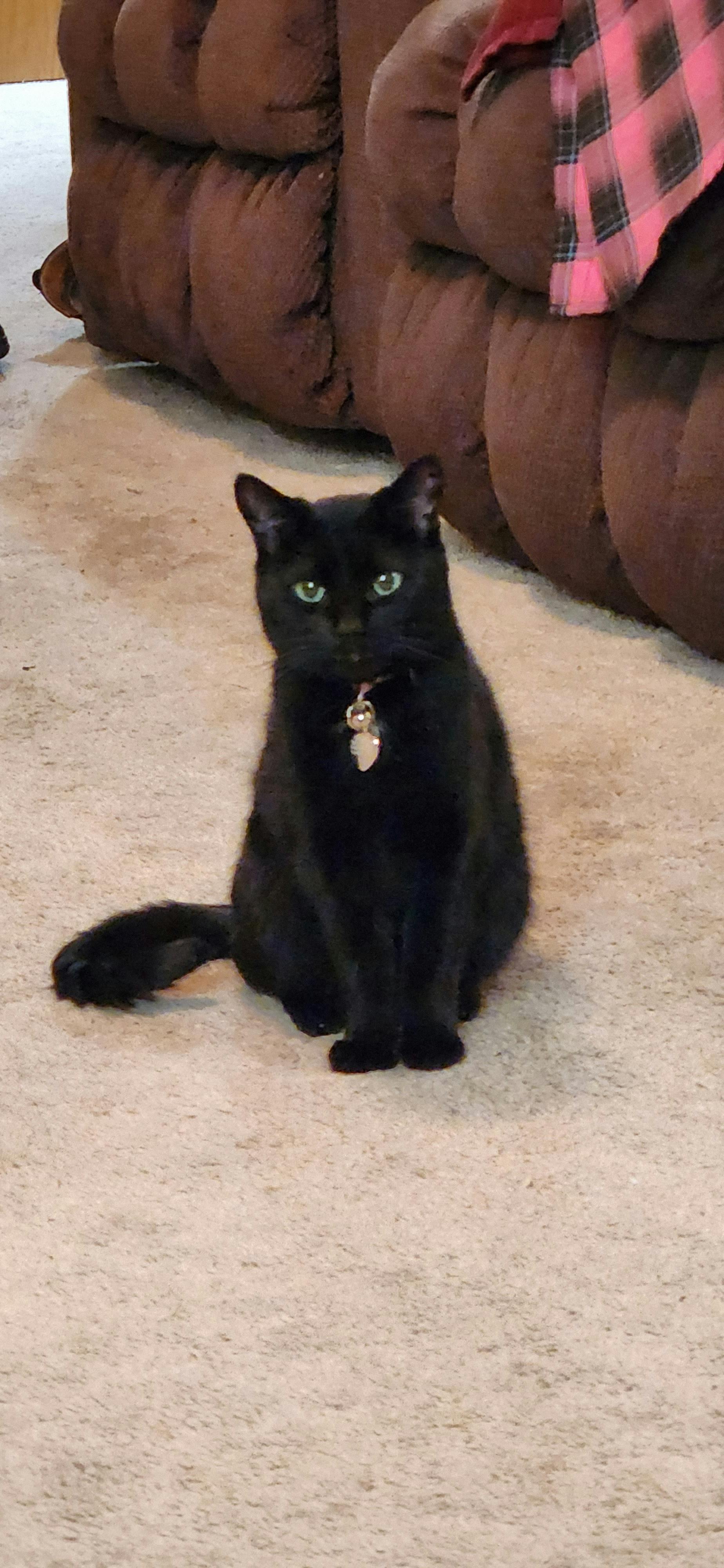 user avatar image for Megan Knapp