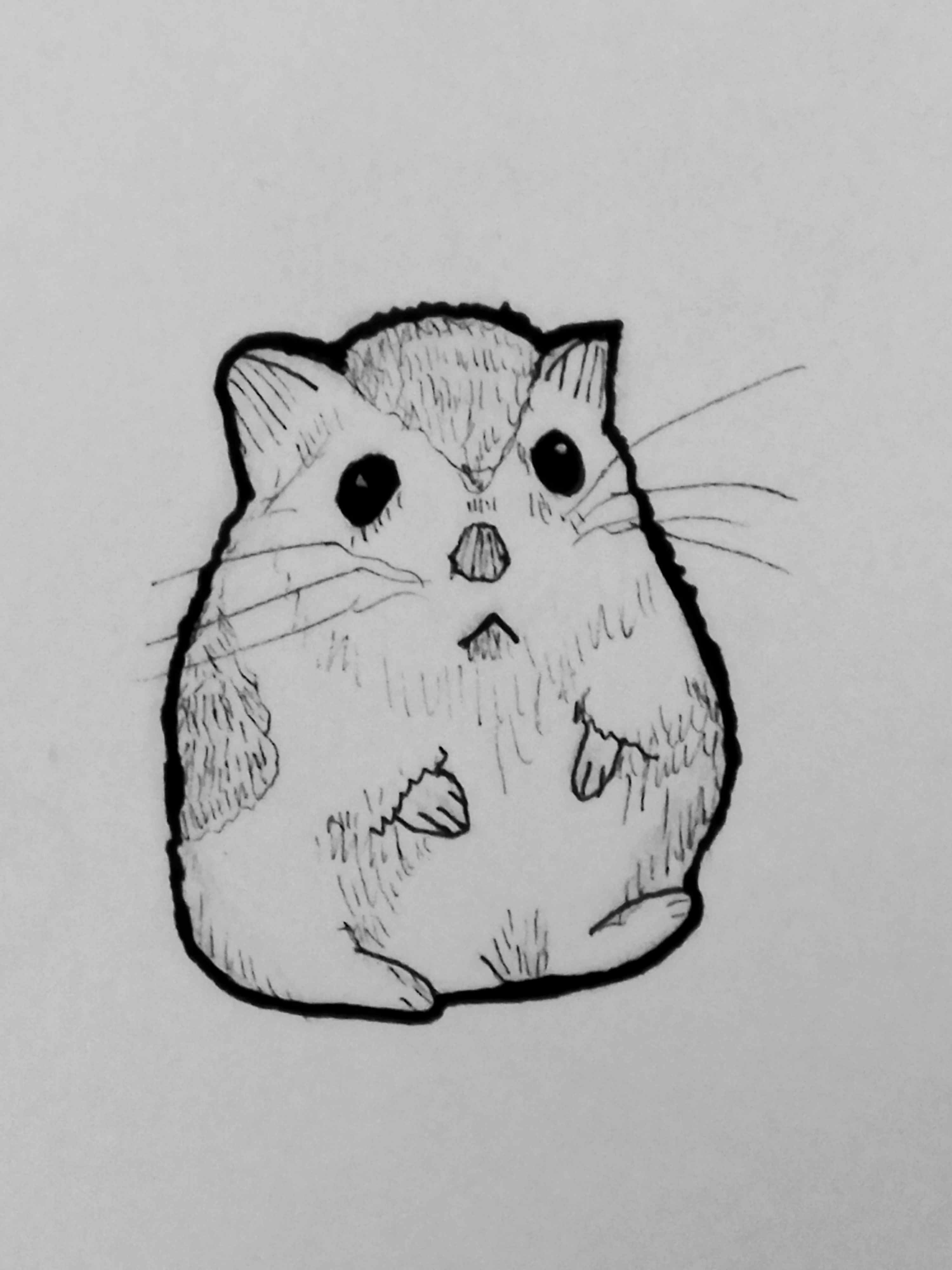 user avatar image for Maï