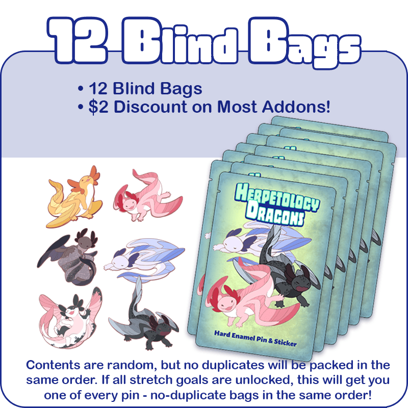 12 Blind Bags