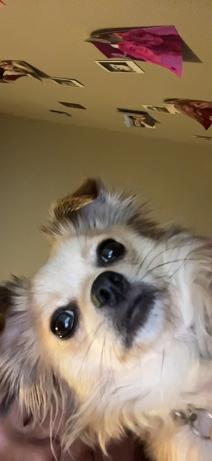 user avatar image for Kat