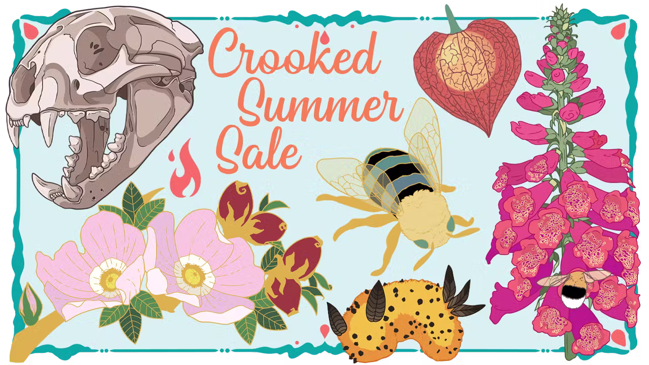 Crooked Summer Sale