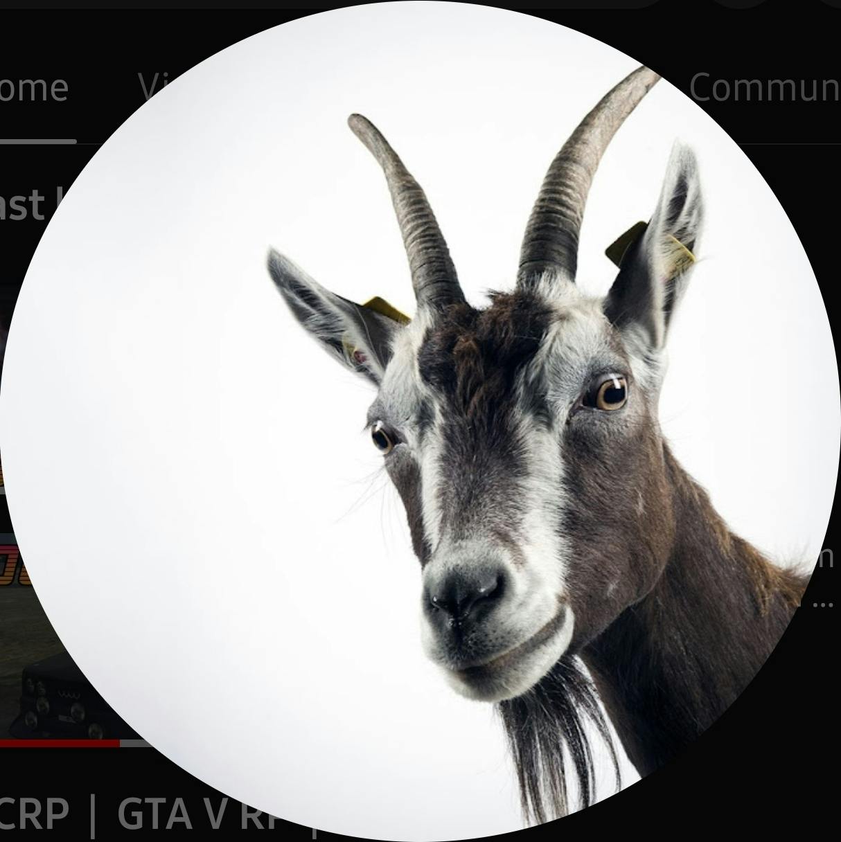 user avatar image for Bahr Amewe