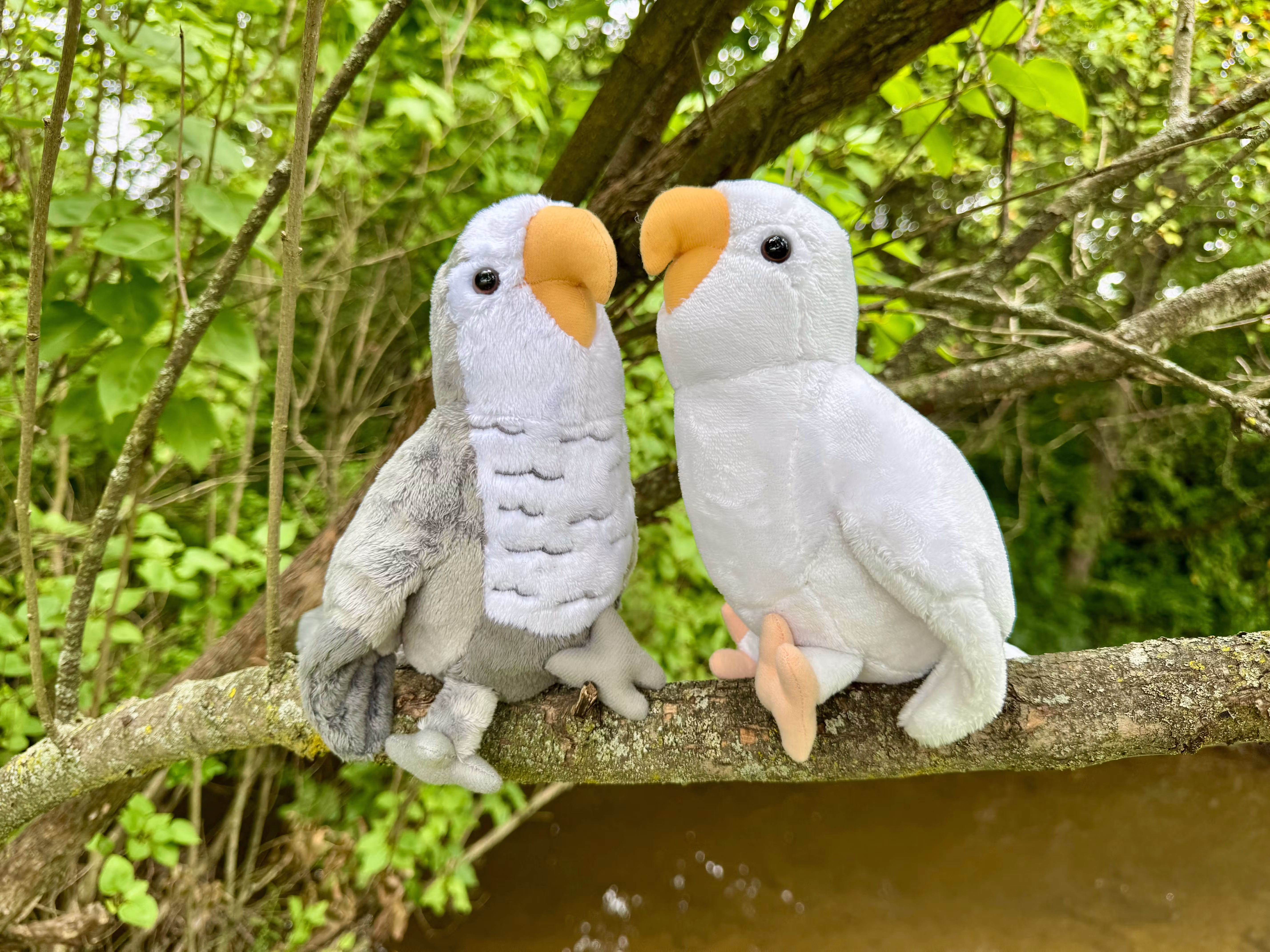 Shadow & Snowflake The Quaker Parrot Plushies