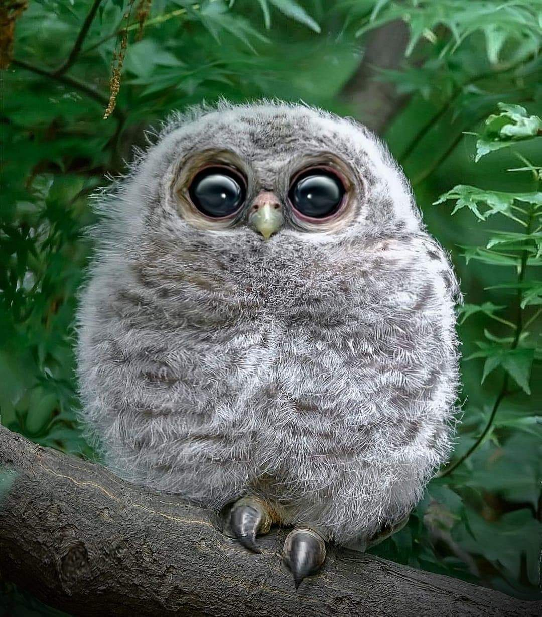 user avatar image for Owen