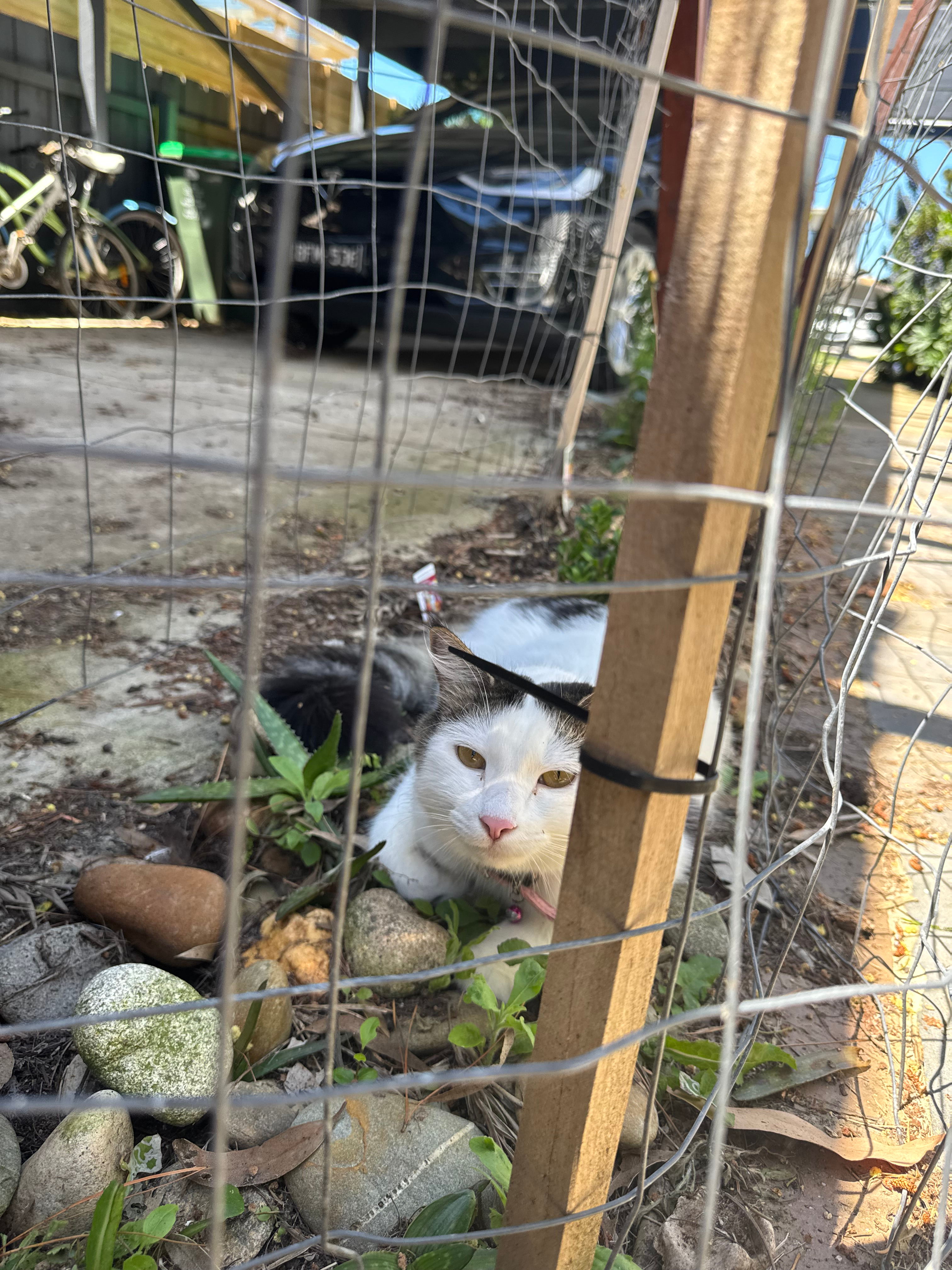 user avatar image for Macca