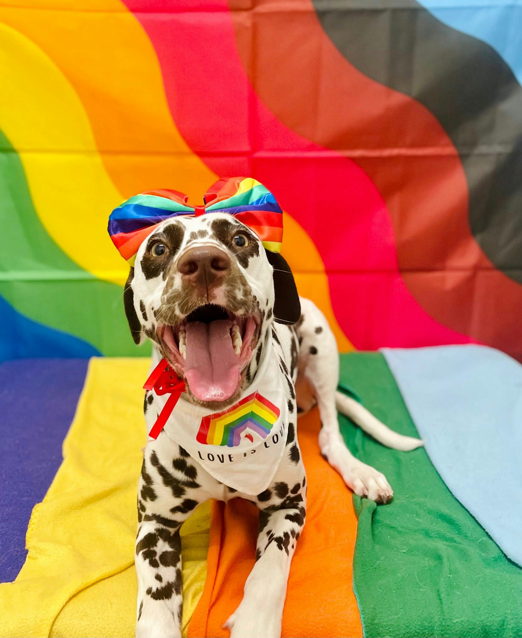 user avatar image for SuperQuintastic