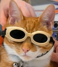 user avatar image for Rodinian