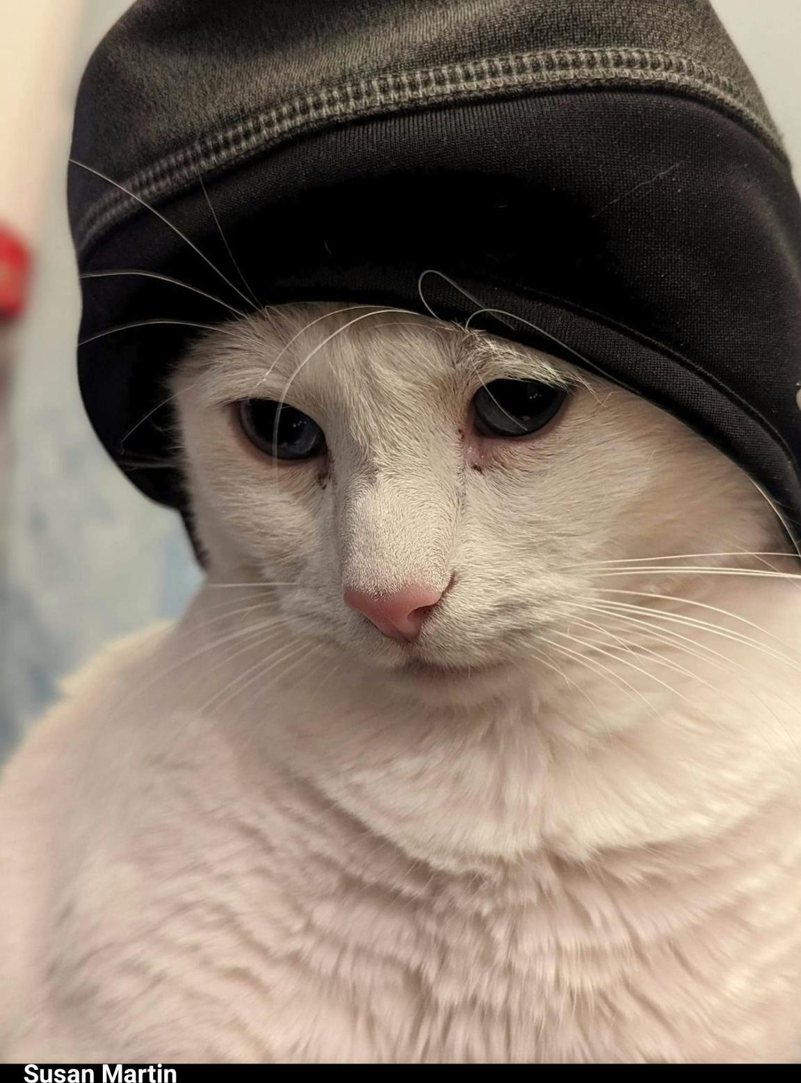 user avatar image for Denver Martin