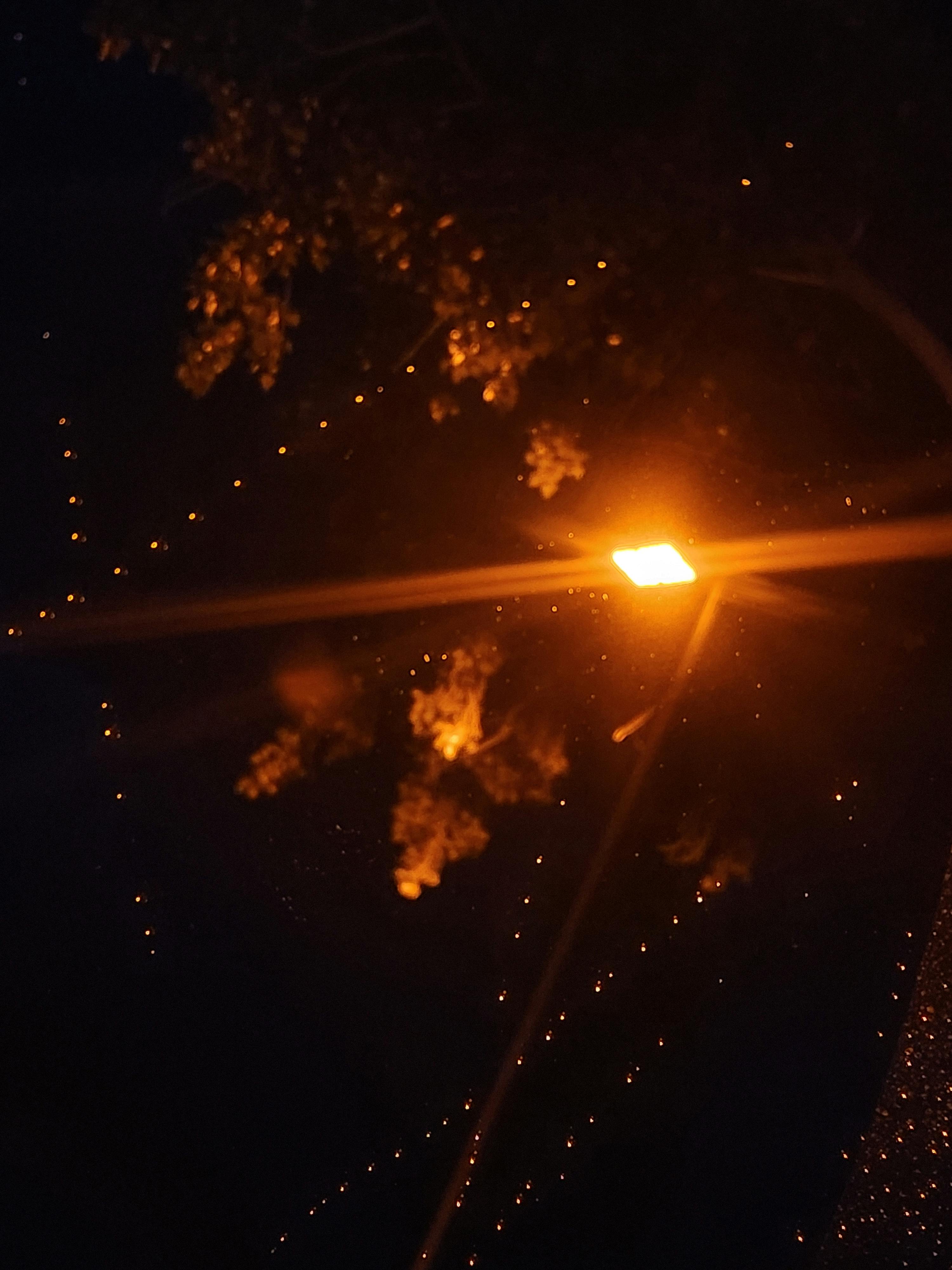 user avatar image for nova