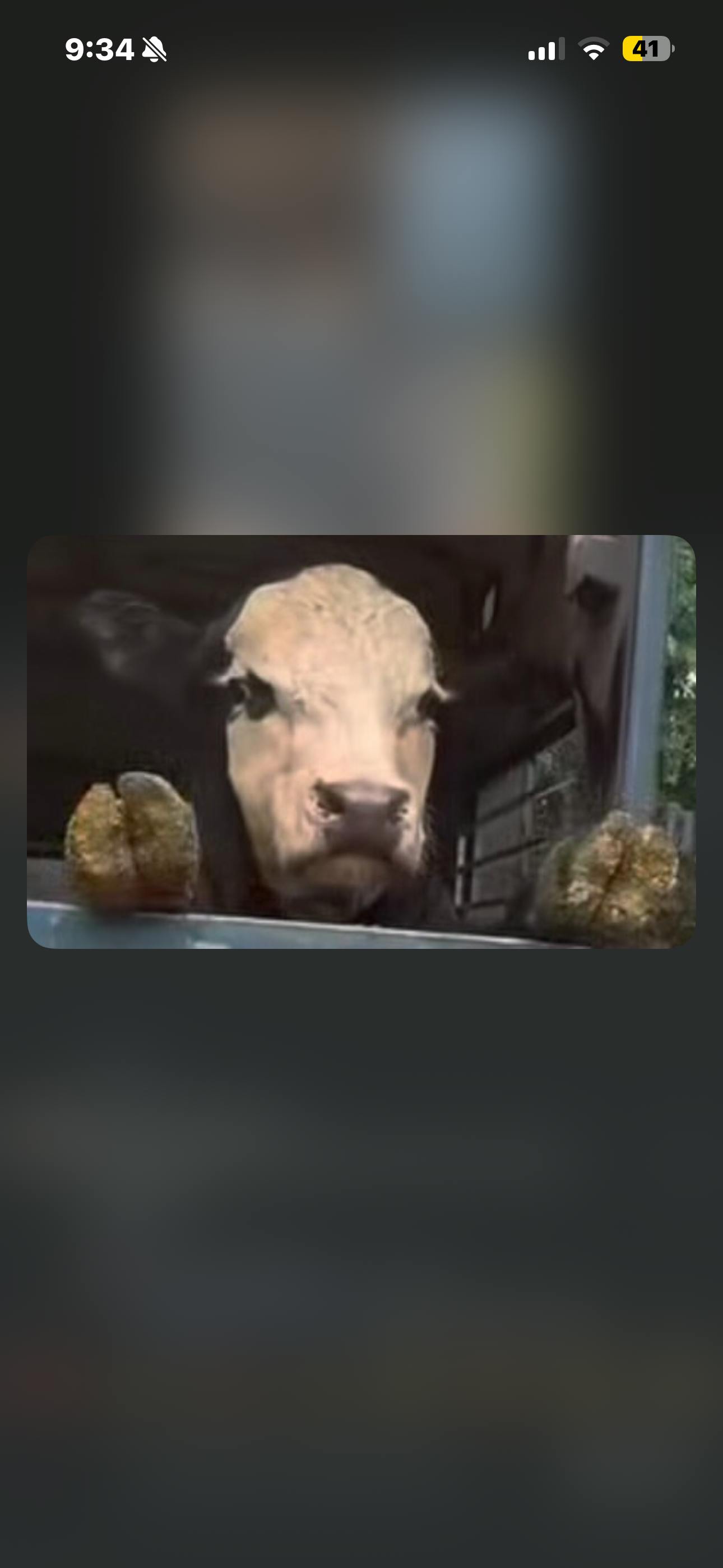 user avatar image for Abigail V. Froehlich