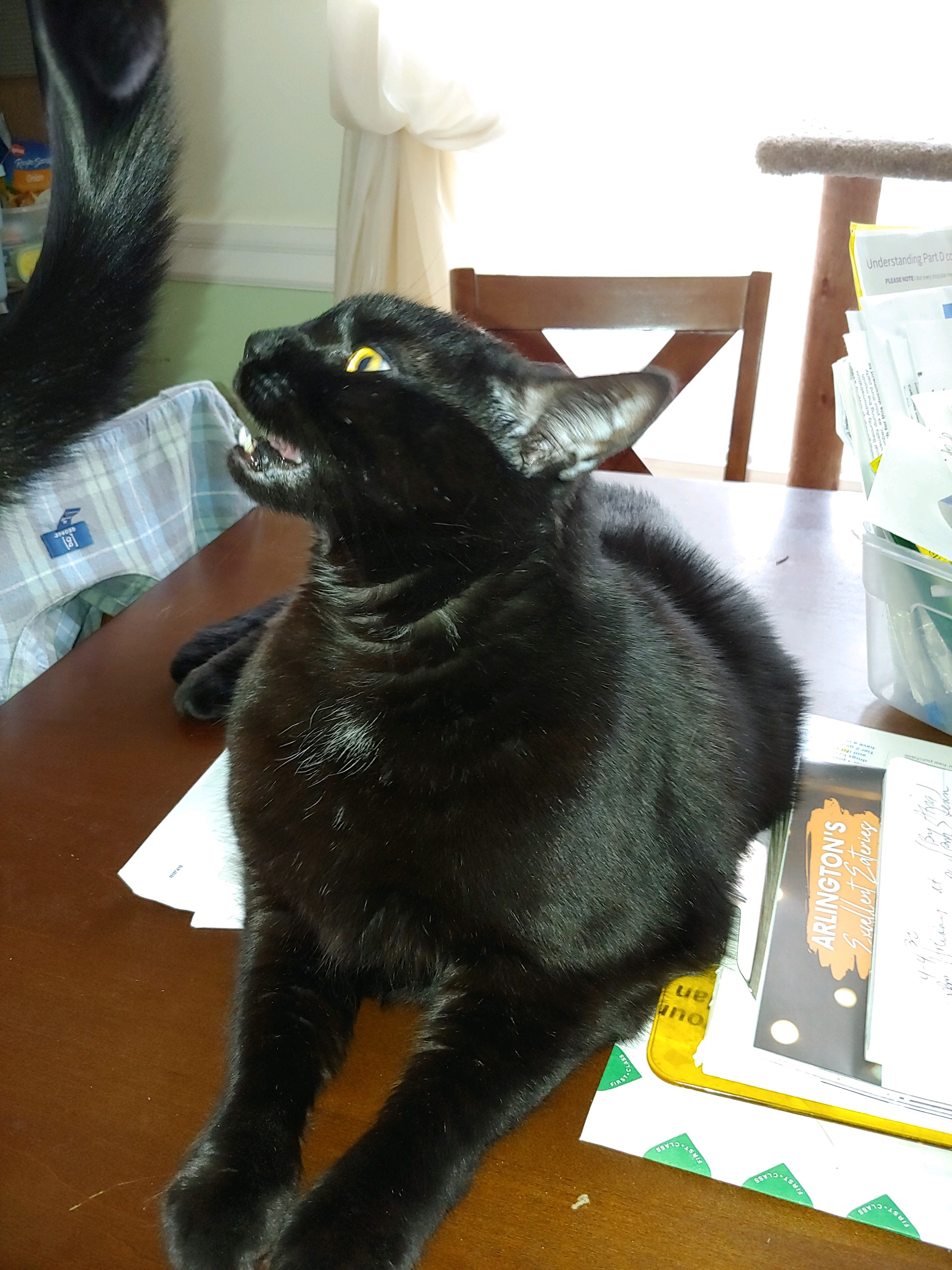 user avatar image for dorkphoenyx